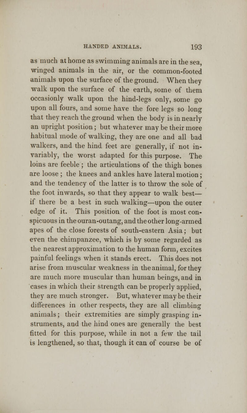 as much at home as swimming animals are in the sea, winged animals in the air, or the common-footed animals upon the surface of the ground. When they walk upon the surface of the earth, some of them occasionly walk upon the hind-legs only, some go upon all fours, and some have the fore legs so long that they reach the ground when the body is in nearly an upright position; but whatever may be their more habitual mode of walking, they are one and all bad walkers, and the hind feet are generally, if not in- variably, the worst adapted for this purpose. The loins are feeble ; the articulations of the thigh bones are loose ; the knees and ankles have lateral motion; and the tendency of the latter is to throw the sole of the foot inwards, so that they appear to walk best— if there be a best in such walking—upon the outer edge of it. This position of the foot is most con- spicuous in the ouran-outang, and the other long-armed apes of the close forests of south-eastern Asia; but even the chimpanzee, which is by some regarded as the nearest approximation to the human form, excites painful feelings when it stands erect. This does not arise from muscular weakness in the animal, for they are much more muscular than human beings, and in cases in which their strength can be properly applied, they are much stronger. But, whatever maybe their differences in other respects, they are all climbing animals; their extremities are simply grasping in- struments, and the hind ones are generally the best fitted for this purpose, while in not a few the tail is lengthened, so that, though it can of course be of