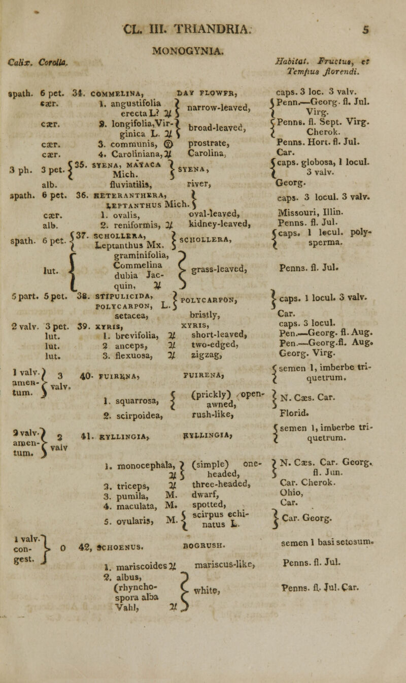 MONOGYNIA. Calix. Corolla, 9path. 6 pet. 34 caer. 3ph. 3path. cacr. caer. caer. 3 pet. 5 alb. 6 pet. L HS G> } narrow-leaved, broad-leaved, prostrate, Carolina, SYENA, river, cser. alb. spath. 6 pet lut. 5 part. 2 valv. 1 valv amen- tum. f { 5pet. 3pet. lut. lut. lut. I 3 C valv. COMMELINA, DAY FLOWFR, |. angustifolia ? erectaL? % $ 9. longifolia, ginica L 3. communis, <£> 4. Caroliniana,}( 35. SYENA, MAtACA Mich. fluviatiHs, 36. HETERANTHERA, LEPTANTHUS Mich. _ 1. ovalis, oval-leaved, 2. reniformis, 2/ kidney-leaved, 37. SCHOLLERA, Leptanthus Mx. graminifolia, Commelina dubia Jac- quin, % 3i. STIPULIClDA, POLYCARPON, setacea, -I SCHOLLERA, grass-leaved, * 1 r, L.5 39. 3valv aroen tum. \ 3 valv XYRIS, 1. brevifolia, 2 anceps, 3. fiexuosa, 40- FUIRK,NA> 1. squarrosa, 2. scirpoidea, 41. RYLLINGIA, POLYCARPON, bristly, XYRIS, short-leaved, two-edged, zigzag, FUIRENA, (prickly) - open- awned, rush-like, RYLLINGIA, i. monocephala, a'? 3. triceps, 3. pumila, 4. maculata, % M. M. 5. ovularis, M 1 valv con- gest. } 5 (simple) one« headed, three-headed, dwarf, spotted, scirpus echi- natus L 0 42, SCHOENUS, BOGRUSH. 1. mariscoides # 2. albus, (rhyncho- spora alba Vahl, % mariscus-like, white, Habitat. JFructu», ef Temfiua Jlorendi. caps. 3 loc. 3 valv. 1 Penn.—Georg. fl. Jul. 1 Virg. C Penn6. fl. Sept. Virg. I Cherok. Penns. Hort. fl. Jul. Car. Ccaps. globosa, 1 locul. ^ 3 valv. Georg. caps. 3 locul. 3 valv. Missouri, Illin. Penns. fl. Jul. Ccaps. 1 lecul. poly- i sperma. I Penns. fl. Jul. caps. 1 locul. 3 valv. Car. caps. 3 locul. Pen.—Georg. fl. Aug. Pen.—Georg.fi. Aug« Georg. Virg. < semen 1, imberbe tri- £ quetrum. I N. Caes. Car. Florid. Csemen l,imberbe tri- l quetrum. } N. Cses. Car. Gcorg. 5 fl. Jun. Car. Cherok. Ohio, Car. } Car. Georg. semen 1 basi setosum. Penns. fl. Jul. Penns. fl.. JuI.Car.