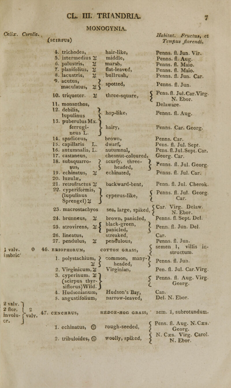 Onlix. Corolla. MONOGYNIA, J valv. ?mbric' (SCIRPU6) 46. 2 valv.) 2flor. ' 2 involu- [valv. cr. J 4. trichodes, 5. iritermedius % 6. palustris, % 7. planifolius, %. 8. lacustris, % ^. acutus, maculatus, hair-like, middle, marsh, flat-leaved, , bullrush, .. > spotted, % three-square, Habitat. Fructus, et Temfius Jiorendi. Penns. fl. Jun. Vir, Penns. fl. Aug. Penns. fl. Maio. Penns. fl. Maio. Penns. fl. Jun. Car, Penns. fl. Jun. v hop-li Pens.fl. Jul.Car.Virg N. Ebor. Delaware. like, } 10. triqueter. 11. monanthos, 12. debilis, lupulinus 13. puberulusMx. ferrugi- neus L. 14. spadiceus, 15. capillaris L. 16. autumnalis, L. 17. castaneus, 18. subsquarro- sus, 19. echinatus, % 20. luzulae, 21. retrofractus % 22. cyperiformis (lupulinus Sprengel)2/ 23. macrostachyos sea, large, spiked, \ Car ^ Ebor^ % brown, panicled, ~, C black-green, \ * \ panicled, 3 26. lineatus, streaked, 27. pendulus, % pendulous, } hairy, brown, dwarf, autumnal, chesnut-coloured, scurfy, three- hcaded, echinated, backward-bent, cyperus-like, Penns. fl. Aug. Penns. Car. Georg. Penns. Car. Pens. fl. Jul. Sept. Pens.fl.Jul.Sept. Car. Georg. Car. £ Penns. fl. Jul. Georg. Penns. fl. Jul. Car. Penn. fl. Jul. Cherok. { Penns. fl. Jul. Georg. Car. 24. brunneus, 25. atrovirens Penns. fl. Sept. Del. Penn. fl. Jun. Del. ERIOPHORUM, 1. polystachium COTTON GRASS, i\ 2. Virginicum, % 3. cyperinum, (scirpus thyi siflorus)Wild. 4. Hudsonianum, 5. angustifolium, n,j,t hyr- V rtld. J common, many- headed, Virginian, Hudson's Bay, narrow-leaved, Car. Penns. fl. Jun. semen 1, villis in- structum. Penns. fl. Jun. Pen. fl. Jul. Car.Virg. Penns. fl. Aug. Virg. Georg. Can. Del. N. Ebor. 47. CENCHRUS, 1. echinatus, (?) 2. tribuloides, ® hedge-hog grass, sem. 1, subrotundum. rough-seeded, woolly, spiked, Pens. fl. Aug. N.Caes. Georg. N. Caes. Virg. Carol. N. Ebor.