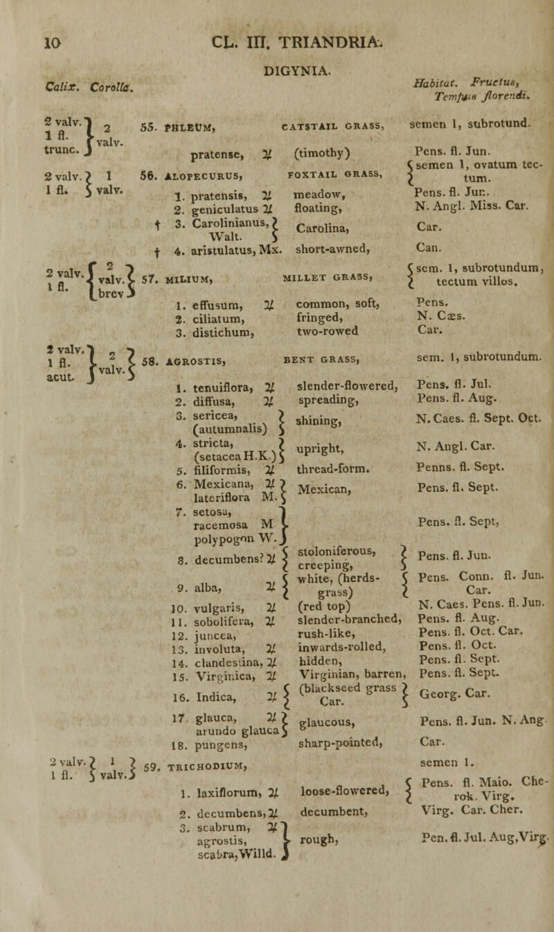 DIGYNIA. Calix. Corolla. Habitat. Fruetus, Temfws Jlorer.di. 2 valv 1 fl. trunc :}■ 2 alv. 2 valv. 1 fli 1 valv. 55. PHLEUM, pratense, 56. ALOFECURUS, catstail giiass, semen 1, subrotund. % 2 valv. 1 fl. 2 valv. 1 fl. acut f 2 ? < valv. > ^brevJ 1 2? f valv.C 1. pratensis, % 2. geniculatus % t 3. Carolinianus, ? Walt. S \ 4. aristulatus, Mx. 57. MlLIUM, 1. effusum, 2. ciliatum, 3. distichum, 58. AGROSTIS, % (timothy) FOXTAIL GRASS, meadow, floating, Carolina, short-awned, MILLET GRASS, common, soft, fringed, two-rowed BENT GRASS, slender-flowered, spreading, 1. tenuiflora, % 2. diffusa, % 3. sericea, ? shini (autumnahs) $ 4-s/ricta' wlMl upright, (setaceaH.K)5 r & 5. filiformis, 2/ thread-form. 6. Mexicana, % J Mexican latenflora M. $ 7. setosa, racemosa M polypogon W 8. decumbens?^ j } Pens. fl. Jun. Csemen 1, ovatum tec- l tum. Pens. fl. Jur.. N. Angl. Miss. Car. Car. Can. sem. 1} subrotundum, tectum villos. Pens. N. Cass. Car. sem. 1, subrotundum. Pens. fl. Jul. Pens. fl. Aug. N.Caes. fl. Sept. Oct. N. Angl. Car. Penns. fl. Sept. Pens. fl. Sept. Pens. fl. Sept, Pens. fl. Jun. 9. alba, X 10. vulgaris, 2/ 11. sobolifera, % 12. juncea, 13. involuta, 2/ 14. clandesiina, % 15. Virginica, 2/ 16. Indica, 2/ stoloniferous, creeping, white, (herds- grass) (red top) slender-branched, rush-like, inwards-rolled, hidden, Virginian, barren, Pens. fl. Sept. (blackseed grass ? Georg< Car Pens. Conn. fl. Jun. Car. N. Caes. Pens. fl. Jun. Pens. fl. Aug. Pens. fl. Oct. Car. Pens. 11. Oct. Pens. fl. Sept. 2 valv 1 fl. 5 valv.> 17 glauca, arundo glauca 18. pungens, 59. TRICHODIUM, Ul glau cous, sharp-pointed, 1. laxiflorum, % 2. decumbens, % 3. scabrum, % agrostis, scabra,Willd. } loose-flowered, decumbent, rough, Pens. fl. Jun. N. Ang. Car. semen 1. Pens. fl. Maio. Che- rok, Virg. Virg. Car. Cher. Pcn.fl.Jul.Aug,Virg.
