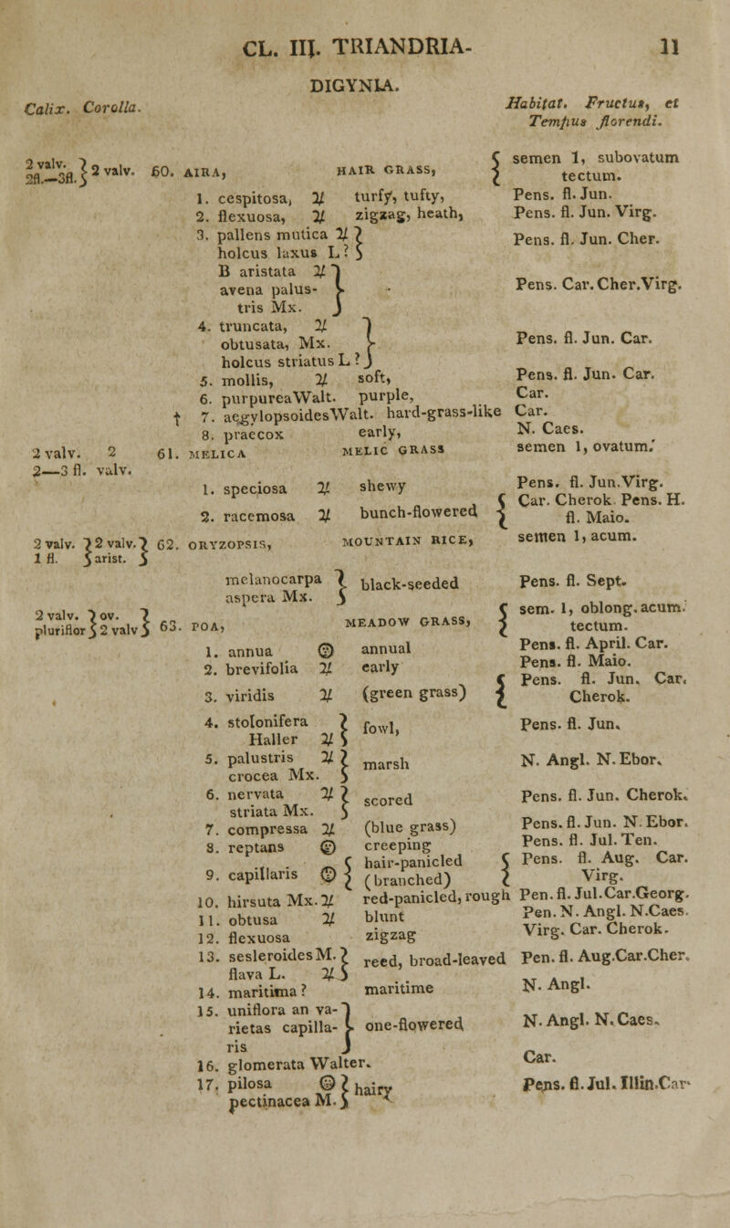 DIGYNIA. Calix. Corolla. 1 valv 2fl alv. ) -3fl.5 2 valv. 60. AIRA, HAIR GRASS, 1. cespitosa, % turfy, tufty, 2. flexuosa, % zigzag,  heath, 3. pallens mutica holcus laxus ] B aristata %' ) avena palus- [ tris Mx. 3 4. truncata, % obtusata, Mx. holcus striatus :,} 2 valv. 2 2—3 fl. vulv. 2valv. 7 2 valv. 111. }arist. 61. 62. 5. mollis, % soft, 6. purpureaWalt. purple, 7. ae^ylopsoidesWalt. harcl-grass-Uke 8. praecox early, MELICA MELIC GRASS Habitat. Fructua, et Temfius florendi. semen 1, subovatum tectum. Pens. fl.Jun. Pens. fl. Jun. Virg. Pens. fl. Jun. Cher. Pens. Car. Cher.Virg. Pens. fl. Jun. Car. Pens. fl. Jun. Car. Car. Car. N. Caes. semen 1, ovatum.' 1. speciosa 2. racemosa ORYZOPSIS, shewy bunch-flowered MOUNTAIN RICE> i 2 valv. ^ov. 7 ^5 melanocarpa aspera Mx. I black-seeded pluriflor52valv5 63 P0A' 1. annua 2. brevifolia MEADOW GRASS, annual early (green grass) { 3. viridis 4. stotonifera Haller % 5. palustris % crocea Mx. 6. nervata % striata Mx. 7. compressa % 8. reptans © 9. capillaris <£) < 10. hirsuta Mx.2/ 11. obtusa % 12. flexuosa 13. sesleroidesM.? reed, broad-leaved flava L. %S 14. marititna? mantime 15. uniflora an va-l rietas capilla- [■ one-flowered ris J 16. glomerata Walter. pilosa % ? haify fowl, marsh scored (blue grass) creeping hair-panicled (branched) red-panicled, rough blunt zigzag pectinacea M. Pens. fl. Jun.Virg. Car. Cherok Pens. H. fl. Maio. semen 1) acum. Pens. fl. Sept. sem. 1, oblong.acum. tectum. Pen». fl. April. Car. Pena. fl. Maio. Pens. fl. Jun. Car< Cherok. Pens. fl. Jun. N- Angl. N. Ebor. Pens. fl. Jun. Cherok. Pens.fl. Jun. N. Ebor. Pens. fl. Jul. Ten. Pens. fl. Aug. Car. Virg. Pen. fl. Jul.Car.Georg. Pen. N. Angl. N.Caes. Virg. Car. Cherok. Pen. fl. Aug.Car.Cher, N- Angl. N-Angl. N.Caes, Car. Pe,ns.B.Jul.Illin.Car>