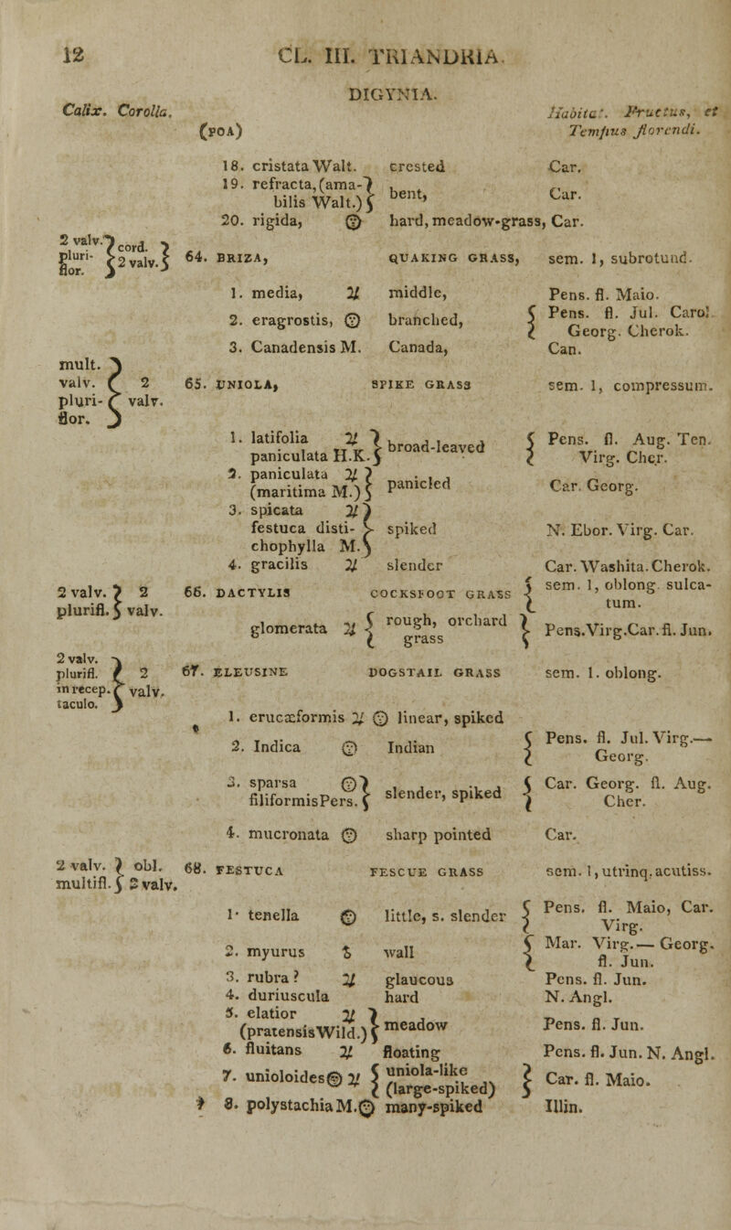 Calix. Corolla. mult. valv. f 2 pluri- f valv. flor. DIGYNIA. (poa) 18. cristata Walt. crcsted 19. refracta,(amaO , bilisWalt.)5 Dent' 20. rigida, 0 hard,meadO\v-grass, Car. 64. briza, quaking grass, sem. 1, subrotund. liabitat. FTUcius, et Tem/ius Jiorcndi. Car. Car. 1. media, % middle, 2. eragrostis, 0 branched, 3. Canadensis M. Canada, 65. UNIOLA, SPIKE GRASS k \ H.K-5 M.)S hsti- V i M.} broad-Ieaved 1. latifolia paniculata 3. paniculata 11 f F_ •*.: t\/i-\ r panicled (mantima M)$ 3. spicata festuca disti- >■ spiked chophylla 4. gracilis 2J.~ slender 2 valv. 5 2 plurifl. 5 valv. 2 valv. -\ plurifl. f 2 inrecep.? valv. taculo. • 66. DACTYLIS COCKSrOOT GRASS glomerata % \ rou?h' orcliard l ° i. grass ^ 6T. ELEUSINE DOGSTAIL GRASS Pens. fl. Maio. Pens. fl. Jul. CaroJ Georg. Cherok. Can. sem. 1, compressum. C Pens. fl. Aug. Ten, l Virg. Chc.r. Car. Georg. N. Ebor. Virg. Car. Car. Washita. Cherok. 5 sem. 1, oblong sulca- \ tum. Pens.Virg.Car.fi. Jun. sem. I. oblong. 1. erucseformis 21 0 linear, spiked 2. Indica 0 Indian 3, sparsa 07 ... filiformisPerY.f dender, spiked 4. mucronata 0 sharp pointed 2 valv. \ < muhifl.J 2 obl. valv. 68. FESTUCA FESCUE GRASS C Pens. fl. Jul. Virg.— l Georg. ( Car. Georg. fl. Aug. I Cher. Car. sem. l,utrinq.acutiss. 1- tenella 0 little, s. slender 2. myurus wall 3. rubra ? 21 glaucoua 4. duriuscula hard 5. elatior Jf 1 (pratensisWild.)£meadow «. fluitans % floating { 7. unioloidesj uniola-like C (large-spiked) ♦ 8. polystachiaM.0 many-spiked Pens. fl. Maio, Car. Virg. Mar. Virg.— Georg. fl. Jun. Pens. fl. Jun. N. Angl. Pens. fl. Jun. Pcns. fl. Jun. N. Angl. Car. fl. Maio. Illin.