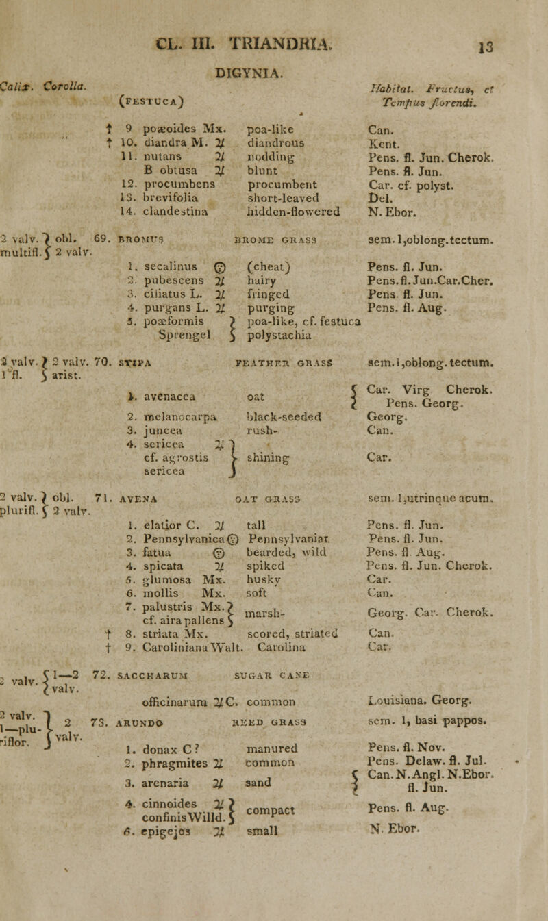 Calix. Corolia. DIGYNIA. (festuca) \alv. ~) obl. ultitf.J 2 valv. t 9 poseoides Mx. t 10. diandra M. % 11. nutans 2J. B obtusa 2J. 12. procumbcns 13. brevifolia 14. clundestina 69. BnoMf!) 1. secalinus (?) 2. pubescens 2J. 3. ciiiatus I,. 2J. 4. purgans L. 21 5. po3cformis Sprengel poa-like diandrous nodding blunt procumbent short-leaved hidden-flowered BHOME GHASS Habilat. fructu», ct Tempus fiorendi. Can. Kent. Pens. fl. Jun. Cherok. Pens. fl. Jun. Car. cf. polyst. Del. N. Ebor. sem. l,oblong.tectum. (cheat) Pens. fl. Jun. hairy Pens.fl. Jun.Car.Cher. fringed Pens fl. Jun. purging Pcns. fl. Aug. poa-like, cf. festuca polystachia > 2 valv 5 arist. 3 valv. > 2 valv. 70. stipa rfl. 2 valv.^ obl. 71. plurifl. $ 2 valv. 1. avenacea 2. melanccarpa 3. juncea 4. sericea 2, cf. agrostis sericea AVENA FEATHER GRASS oat black-seeded rush- } shining OAT GRASS 1. elatior C. % tall 2. Pennsylvanica<2) Pennsylvaniar. 3. fatua (y bearded, wild 4. spicata 21 5. glumosa Mx. 6. mollis Mx. 7. palustris Mx.? cf. airapallens > 8. striata Mx. 9. CarolinianaWalt spiked husky soft marsh- scored, striatcd Carolina sem. 1 ,ob!ong. tectum. Car. Virg Cherok. Pens. Georg. Georg. Can. Car. sem. l,utrinquc acum. Pens. fl. Jun. Pens. fl. Jun. Pens. fl. Aug. Pens. fl. Jun. Cherok. Car. Can. Georg. Car. Cherok. Can. Ca:\ , . C 1—2 72. SACCKARUM ' ^valv. SUGAR CANE 2 valv. )„_,> 1-Plu- l 2 7j- ARUN ■iflor. j«*> |#.- offkinarum ^C. common JJDO HEED GRAS3 donax C ? manured 2. phragmites X common 3. arenaria 21 sand 4. cinnoides % \ „-—1*,+ confinisWilld.J COmpaCt fi. epigejos Tf. small Louisiana. Georg. sera. 1, basi pappos. Pens. fl. Nov. Pens. Delaw. fl. Jul. Can.N.Angl.N.Ebor fl.Jun. Pens. fl. Aug-