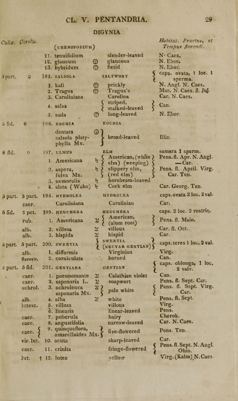 DIGYNIA Culij. Qorolla. :, fid. 0 Hd. 5 part. 5 part. pacr. 5 fid. 5 pct. rub. alb. alb. 5 part. 5 part. alb. flavovir. 5 part. 5 fid. caer. caer. ochrol. alb. lr.tesc. caer. caer. { caer vir. lut cacr. 11. 12. 13. 195. 1. 2. 3. o. 196. 197. 1. 4. 198, 199, 200. 1, 2. 201. 1. 2. 3. 4. 5. 6. 7. 8. 9. 10. 11. (chenopodium) tenuifolium glaucum bybridum SALSOLA slender-leaved (?) glaucous 0 faetid SALTWORT ® 0 1 Jut. t 12. kali Tragus Caroliniana salsa soda KOCHIA dentata salsola platy- pbylla Mx. ULMUS Americana h aspera, h fulva Mx. ncmoralis b_ alata (Waho) k HYDROLEA Caroliniana HEUCHERA Americana villosa hispida swertia diflbrmis corniculata gentiana pneunomante }! saponaria L. % ochroleuca % saponaria Mx alba villosa linearis puberula angustifolia quinqueflora, amarelloides M acuta crinita lutea prickly Tragus's Carolina C striped, \ stalked-leaved long-leaved \ KOCHIA broad-leaved elm American, (white ~> elm) (weeping) £ ? slippery elm, £ (red elm) hornbeam-leaved Cork elm HYDROLEA Carolinian HEUCHERA ~f C American, * l (alum root) % villous H hispid * SWERTIA \ (nECTAR GENTI.A Virginian horned »)} GENTIAN Calathian violet soapwort { X £ pale white 4 white villous lineaiMeaved hairy narrow-leaved five-flowered sharp-lcaved fringe-flowered vcllow { Habitat. Fructun^ et Temfius florcndi. N- Caes. N. Ebor. N. Ebor. cups. ovata, 1 loc. I sperma. N. Angl. N. Caes» Mar. N. Caes. fl. Ju]. Car. N.Caes. Can. N. Ebor. Illin. samara 1 sperm. Pens.fl. Apr. N.Angl- — Car. Pens. fl. April. Virg. Car. Ten. Car. Georg. Ten. caps.ovata 2 loc. 2 val- Car. caps. 2 loc. 2 rostris. Pens. fl. Maio. Car. fl. Oct. Car. caps. teres 1 loc. 2 val. Virg. Can. caps. oblonga, 1 loc, 2 valv. Can. Pens. fl. Sept. Car. Pens. fl. Scpt. Virg. Car. Pens. 11. Sept. Virg. Pens. Cherok. Car. N.Cae-s. Pens. Ten. Car. Pens.fl.Sept.N.Angl. Ohio. Virg.(Kalm)N.Caes