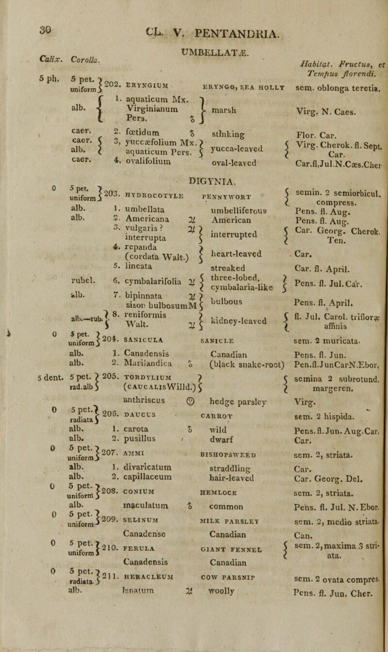 Calix. Corolla. CL. V. PENTANDKIA. UMBELLATiE. 5ph. uniform $ alb. ' caer. caer, alb, caer. 4. er. C >• l ERYNGIUM aquaticum Mx. Virginianum Pers. % foetidum % yuccaefolium Mx. aquaticum Pers. ovalifolium ERYNGO,SEA HOLLY } marsh stinking yucca-Ieaved oval-leaved uniform 5 alb. 1, alb, 2 DIGYNIA. HYDROCOTYLE PENNYWORT rubel. alh. alb.—rub. > 0 ,?£,>*• alb. 1. alb. 2. 5dent. 5pet. £205. rad.alb umbellata Americana vulgaris ? interrupta repanda (cordata Walt.) lineata cymbalarifolia % j bipinnata X ? sison bulbosumM \ reniformis Walt. SANICULA A umbelliferous American interrupted heart-leaved streaked three-lobed, cymbalaria-like bulbous kidney-leaved \ SANICLE Canadensis Marilandica 0 0 5Pet-J20G. radiata } alb. l. alb. 2. 5.Pet-?2or. uniformj alb. l. alb. 2. 5.Pet^208. unuorm j alb. 5.Pet]209. umform J TORDYLIUM (CAUCALIsWilld.) anthriscus DAUCUS 0 5.Pet'{210. umform 1 0 5pet.^2n raditta, 5 alb. carota pusillus AMMI divaricatum capillaceum CONIUM maculatum SELINUM Canadcnse FERULA Canadensis HERACLEUM Janatum » Canadian (bj,ack snakc-root) hedgc parsley CARROT wild dwarf BISHOP3WEED straddling hair-leaved HEMLOCK common MILK PARSLEY Canadian GIANT FENNEL Canadian cow PARSNIT woolly Jlabitat. Fructus, et Temfius Jiorendi. sem. oblonga teretia. Virg. N. Caes. Flor. Car. Virg.Cherok.fl.Sept. Car. Car.fl.Jul.N.Caes.Cher scmin. 2 semiorbicul. compress. Pens. fl. Aug. Pens. fl. Aug. Car. Georg. Cherok. Ten. Car. Car. fl. April. Pens. fl. Jul.Car. Pens. fl. April. fl. Jul. Carol. tiinor?e affinis sem. 2 muricata. Pens. fl. Jun. Pen.fl.JunCarN.Ebor, semina 2 subrotund. margeren. Virg. sem. 2 hispida. Pens. fl. Jun. Aug.Car. Car. sem. 2, striata. Car. Car. Georg. Del. sem. 2, striata. Pens. fl. Jul. N.Ebor. sem. 2, medio striata. Can. sem. 2,maxima 3 stri- ata. sem. 2 ovata compres. Pcns. fl. Jun. Cher.