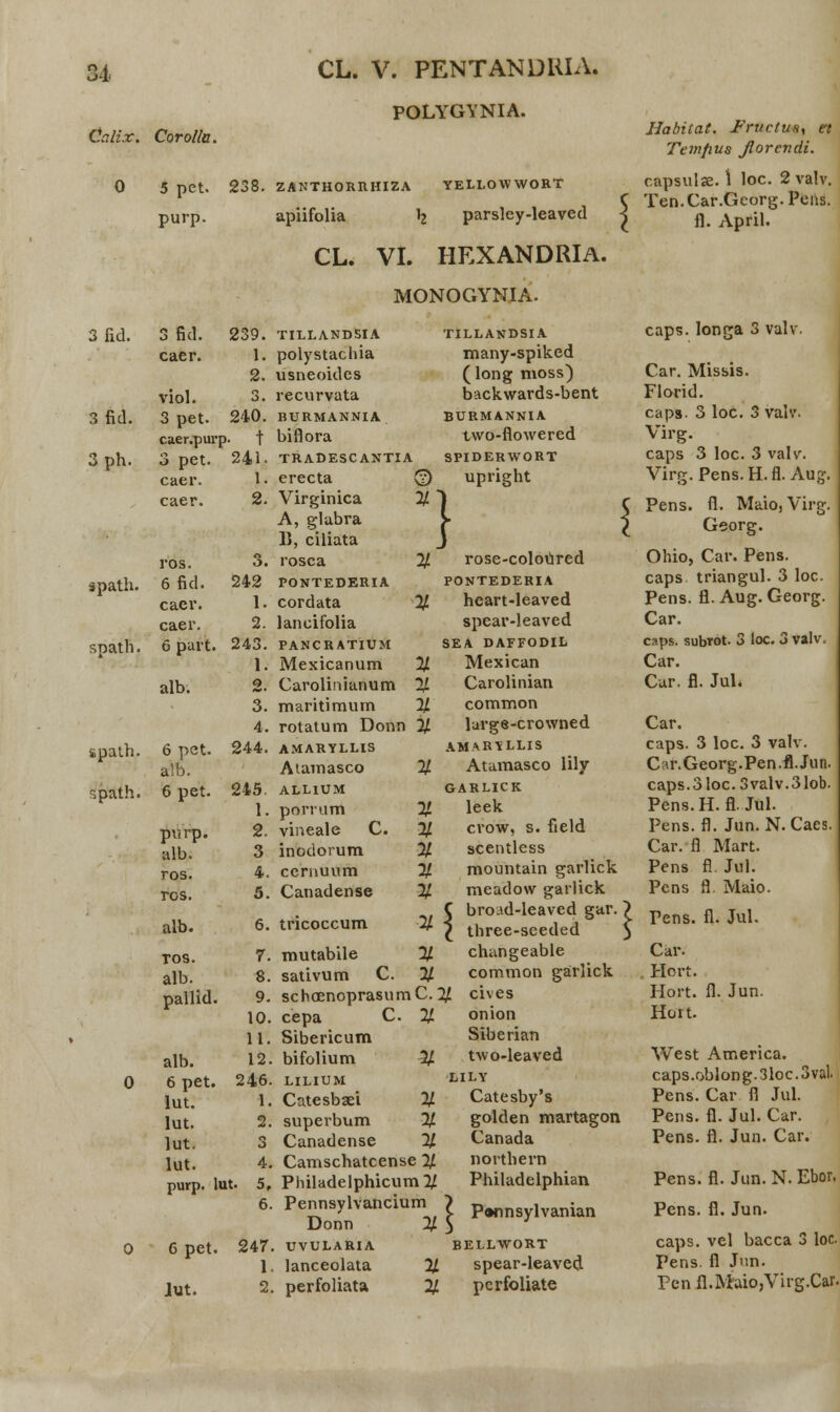 POLYGYNIA. Calix. 0 Corolla. 5 pet. 238. ZANTHORRHIZA yellowwort purp. apiifolia k parsley-leaved CL. VI. HEXANDRIA. MONOGYNIA. Habitat. Fructun^ et Temfius fiorcndi. capsulae. \ loc. 2 valv. Ten.Car.Georg. Peas. fl. April. 3fid. 3 fid. 239. TILLAND5IA TILLANDSIA caps. longa 3 valv. caer. 1. polystachia many-spiked 2. usneoides (long moss) Car. Missis. viol. 3. recurvata backwards-bent Florid. 3fid. 3 pet. 240. BURMANNIA BURMANNIA caps. 3 loc. 3 valv. caer.pur P- t biflora two-fiowered Virg. 3ph. 3 pet. caer. 241. TRADESCANTIA SPIDERWORT caps 3 loc. 3 valv. 1. erecta 0 upright Virg. Pens. H. fl. Aug. caer. 2. Virginica *} l Pens. fl. Maio, Virg. A, glabra Georg. 13, ciliata J C ros. 3. rosea 2/ rose-coloured Ohio, Car. Pens. spath. 6-fid. 242 PONTEDERIA PONTEDERIA caps triangul. 3 loc. caer. 1. cordata 2/ heart-leaved Pens. fl. Aug. Georg. caer. 2. lancifolia spear-leaved Car. spath. 6 part. 243. PANCRATIUM SEA DAFFODIL caps. subrot. 3 loc. 3 valv. 1. Mexicanum 2/ Mexican Car. alb. 2. Carolinianum % Carolinian Car. fl. Jul. 3. maritimum 2/ common 4. rotatum Donn 2/ lurge-crowned Car. sspaih. 6 pet. alb. 244. AMARYLLIS AMARTiLLIS caps. 3 loc. 3 valv. Atamasco 2/ Atamasco lily Car.Georg.Pen.flJun. Spath. 6 pet. 245 1. ALLIUM porrum vineale C. GARLICK % leek caps.Sloc. 3valv.31ob. Pens.H. fl. Jul. purp. alb. 2. % crow, s. field Pens. fl. Jun. N.Caes. 3 inodorum % scentless Car. fl Mart. ros. 4. cernuum 2/ mountain garlick Pens fl Jul. ros. 5. Canadense % meadovv garlick Pens fl. Maio. alb. 6. tricoccum C brcud-leaved gar. > * \ three-sceded $ Pens. fl. Jul. TOS. 7. mutabile % changeable Car. alb. 8. sativum C. % common garlick Hort, pallid. 9. schoenoprasumC. % cives Hort. fl. Jun. 10. cepa C. % onion Hoit. 11. Sibericum Siberian alb. 12 bifolium -3/ two-leaved West America. 0 6 pet. lut. 246 LILIUM LILY caps.obIong.3loc.3val. 1. Catesbaei 2/ Catesby's Pens. Car fl Jul. lut. 2. superbum 2/ golden martagon Pens. fl. Jul. Car. lut, 3 Canadense % Canada Pens. fl. Jun. Car. lut. 4 Camschatcense % northern purp. lut. 5f Philadelphicum2/ Philadelphian Pens. fl. Jun. N.Ebor. 6 Pennsylvancium > p^nnsylvanian Donn Jf. S Pens. fl. Jun. 0 6 pet. 247 UVULARIA BELLWORT caps. vel bacca 3 loc 1 lanceolata % spear-leaved Pens. fl Jun. Pen fl.MaiojVirg.Car