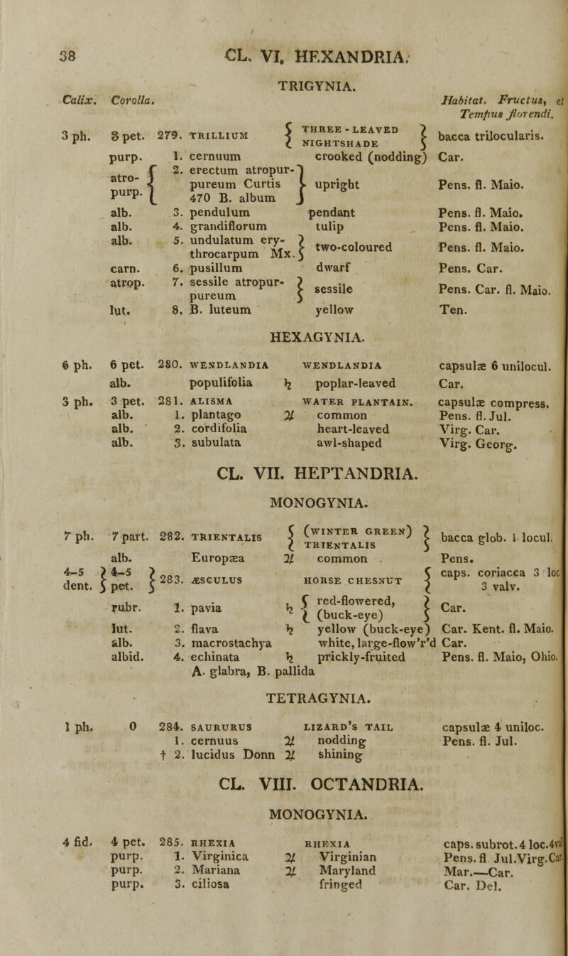 TRIGYNIA. Calix. Corolla. 3ph. 6 ph. 3 ph. 3pet. purp. atro- purp. alb. alb. alb. carn. atrop. lut. 6 pet. alb. I 279. TRILLIUM 1. cernuum 2. erectum atropur- pureum Curtis 470 B. album 3. pendulum 4. grandiflorum 5. undulatum ery- throcarpum Mx 6. pusillum 7. sessile atropur- pureum 8. B. luteum THREE-LEAVED NIGHTSHADE crooked (nodding) } upright pendant tulip two-coloured dvvarf sessile yellow 280. WENDLANDIA populifolia 3 pet. 281. alisma alb. alb. alb. 1. plantago 2. cordifolia 3. subulata HEXAGYNIA. WENDLANDIA \ poplar-Ieaved WATER PLANTAIN. % common heart-leaved awl-shaped Habitat. Fructus, et Temfius fiorendi. bacca trilocularis. Car. Pens. fl. Maio. Pens. fl. Maio. Pens. fl. Maio. Pens. fl. Maio. Pens. Car. Pens. Car. fl. Maio. Ten. capsulae 6 unilocul. Car. capsulse compress. Pens. fl.Jul. Virg. Car. Virg. Georg. CL. VII. HEPTANDRIA. MONOGYNIA. rph. alb. 4-5 > 4-5 dent. 3 pet. yubr. lut. alb. albid. 1 ph. 7part. 282. trientalis Europsea 283. ^ESGULUS 1. pavia 2. flava 3. macrostachya 4. echinata C (winter green) } , i u ,i , < v ' > bacca cnob. 1 locul. I TRIENTALIS $ % common HORSE CHESNUT , C recl-flowered, £ (buck-eye) Pens. caps. coriacca 3 loc 3 valv. Car. A- glabra, B. pallida TETRAGYNIA. 284. saururus lizard's tail 1. cernuus % nodding t 2. lucidus Donn % shining CL. VIII. OCTANDRIA. yellow (buck-eye) Car. Kent. fl. Maio. white, large-flowVd Car. prickly-fruited Pens. fl. Maio, Ohio. capsulae 4 uniloc. Pens. fl. Jul. MONOGYNIA. 4fid. 4 pet. purp. purp. purp. 285. RHEXIA 1. Virginica 2. Mariana 3. ciliosa RHEXIA Virginian Maryland fringed caps. subrot. 4 loc.4val Pens.fl Jul.Virg.Car Mar—Car. Car. Del.