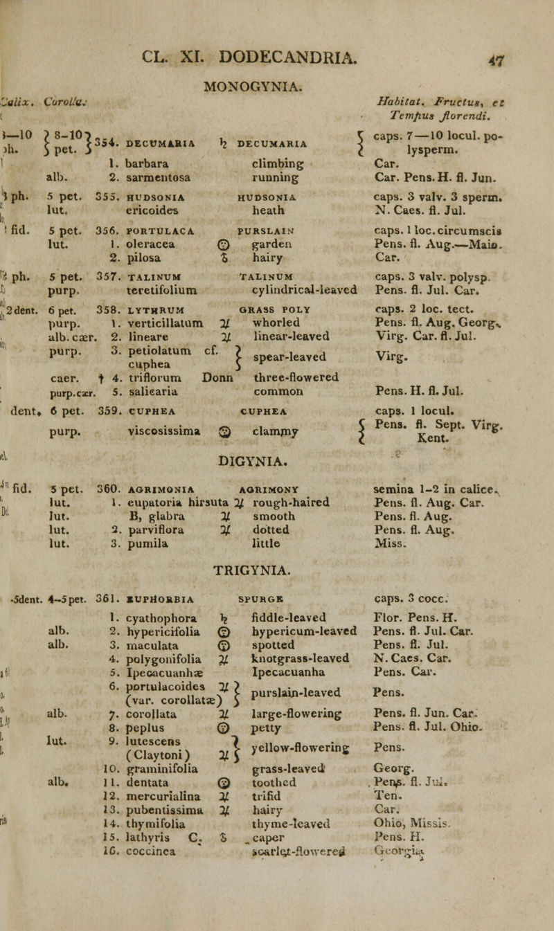 MONOGYNIA. Satix. Curol/a.' Habitat. JFructus, el Temfius Jlorendi. 1—10 )h. 1 Spet. S 354. 1. DECUMARIA barbara h DECUMAHIA climbing \ caps. 7—10 locul. po- lysperm. Car. alb. 2. sarraentosa running Car. Pens.H. fl. Jun. 1 ph. 1 5 pet. lut. 355. HUDSONIA ericoides HUDSONIA heath caps. 3 valv. 3 sperm. N.Caes. fl. Jul. !fid. 5 pct. 356. PORTULACA PURSLAIN caps. 1 loc.circumscia lut. 1. 2. oleracea pilosa © garden % hairy Pens. fl. Aug Maio Car. k ph. 1 5 pet. purp. 357. TALINUM teretifolium TALINUM cylindrical-leaved caps. 3 valv. polysp. Pens. fl. Jul. Car. 1 o J i(2dent. 6 pet. 358. LYTHRUM ORASS POLY caps. 2 loc. tect. purp. ulb.caer . 2. verticillatum lineare 2/ whorled 2/ linear-leaved Pens. fl. Aug. Georg,. Virg. Car.fl. Jul. m purp. 3. petiolatum cuphea cf > > spear-leaved Virg. caer. t 4. triflorum Donn three-flowered purp.cxr . 5. saliearia common Pens. H. fl. Jul. dent, ► 6 pct. 359. CUPHEA CUPHEA caps. 1 locul. purp. viscosissima 2) clammy l Pens. fl. Sept. Virg. Kent. DIGYNIA. fld. 5 pet. 360. AORIMONIA AORIMONY lut. 1. euputoria hirsuta 2/ rough-haired lut. B, glabra % smooth lut. 2. parviflora % dotted lut. 3. pumila little semina 1-2 in calice. Pens. fl. Aug. Car. Pens. fl. Aug. Pens. fl. Aug. Miss. TRIGYNIA. •5dent. 4-5pet. 361. SUPHORBIA alb. alb. alb. lut. alb. 1. cyathophora \ 2. hypericifolia © 3. maculata 0 4. polygonifolia % 5. Ipeoacuanhae 6. portulacoides % (var. corollatse) y. corojlata % 8. peplus Q) 9. lutescens (Claytoni) % 10. graminifolia 11. dentata Q 12. mercurialina V 13. pubentissima % 14. thymifolia 15. lathyris C. S IC. coccinca SPURGK caps. 3 cocc. fiddle-leaved Flor. Pens. H. | hypericum-leaved Pens. fl. Jul. Car. 1 spotted Pens. fl. Jul. knotgrass-leaved N.Caes. Car. Ipecucuanha Pens. Car. { purslain-leaved Pens. large-flowering Pens. fl. Jun. Car. petty Pens. fl. Jul. Ohio } yellow-flowering Pens. grass-leaved' Georg. l toothcd . Pen^. fl. Ju*. trifid Ten. hairy Car. thyme-leaved Ohio, Missis hcaper Pens. H. Sioarlc^-flowereii Geoteiitt