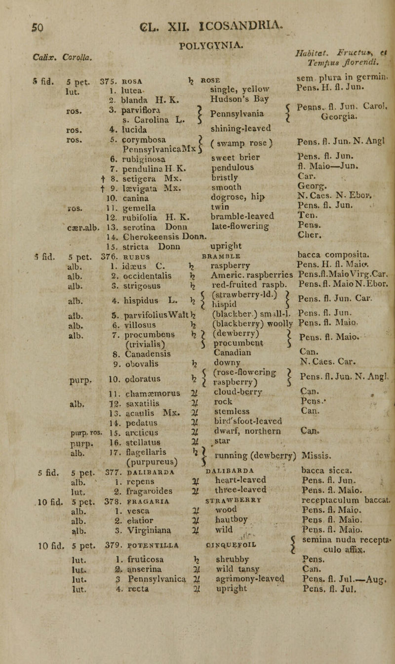 POLYGYNIA. Calix. Corolla. Sfid. fid. 5 pet. lut. ros. ros. ros. ros. caer.alb 5 pet. alb. alb. alb. alb. alb. alb. alb. 375. kosa 1. lutea 2. blanda H. K. 3. parviflora s. Carolina L. 4. lucida 5. corymbosa ? PennsylvanicaMx 5 6. rubiginosa 7. pendulinaHK. t 8. setigera Mx. t 9- laevigata Mx. 10. canina 11. gemella 12. rubifolia H. K. . 13. serotina Donn 14. Cherokeensis Donn 15. stricta Donn 376. rubus 1. idaeus C. \ 2. occidentalis 1? 3. strigosus h 4. hispidus L. b_ ROSE single, yellow Hudson's Bay Habitat. JFruclu*, el Tetv/ius fiorendi. sem plura in germin. Pens. H. fl. Jun. Pennsylvania shining-leaved ( swamp rose ) sweet brier pendulous bnstly smooth dogrose, hip twin bramble-leaved late-flowering Peans, fl. Jun. Georgia. Caro!, Pens.fl. Jun. N. Angl Pens. fl. Jun. fl. Maio—Jun. Car. Georg. N. Caes. N- Ebor. Pens. fl. Jun. Ten. Pena. Cher. upright BRAMBLE raspberry parvifoliusWalt \ villosus \ procumbens \ (trivialis) 8. Canadensis 9. obovalis h purp. 10. odoratus k 11. chamsemorus 21 alb. 12. saxatilis % 13. acaulis Mx. % \i. pedatus 21 15. arcticus 21 16. stcllatus 21 J7. flagellaris h (purpureus) 377. DALIBARDA 1. repens % 2. fragaroides % 378. FRAGAKIA 1. vesca 21 2. elatior 2/ 3. Virginiana % 10 fid. 5 Det. 379 bacca composita. Pens. H. fl. Mait». Americ.raspberries Pens.fl.MaioVirg.Car. red-fruited raspb. Pens.fl. MaioN.Ebor. (stravyberry-ld.) ) pens. fl. Jun. Car. hispid } (blackber.) sm .11-1. Pens. fl. Jun. (blackberry) woolly Pens. fl. Maio. 5 fid. 10 fid. pnrp. ros. purp. alb. 5 pet. alb. lut. 5 pet. alb. alb. alb. 5 pet. lut. lut. lut. lut. Pens. fl. Maio. Can. N.Caes. Car. Pens. fl. Jun. N. Angl. Can. Pcns.* Can. Can. POTENTILLA 1. fruticosa \ 2. anserina % 3 Pennsylvanica 11 4. recta 21 (dewberry) procumbent Canadian downy C (rose-flowering l raspberry) cloud-berry rock stemless bird'sfoot-leavcd dwarf, northern ^star [■ running (dewberry) Missis. dalibarda bacca sicca. heart-leaved Pens. fl. Jun. thrce-leaved Pens. fl. Maio. strawberry receptaculum baccat. wood Pens. fl. Maio. hautboy Peos fl. Maio. wild Pens. fl. Maio. C semina nuda recepta* cisquEFoit l culoaffix. P Pens. shrubby wild tansy agrimony-leaved upright Can. Pens. fl. Jul—Aug. Pens. fl. Jul.