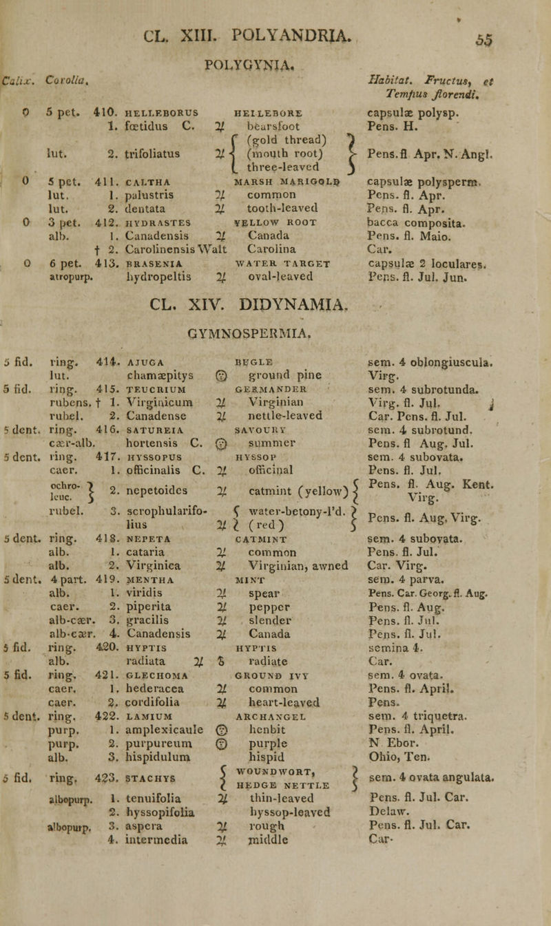 POLYGYNIA. . Corolia. 5 pet. 410. HELLEBORUS 1. foetidus C. 2f. 2. trifoliatus % lut. 5 pct. lut. lut. 3 pet. alb. 6 pet. atropurp, oeai r feoi •< (mn i thre 41 1. CALTHA 1. pulustris % 2. dentata 2/ 412. HYDRASTES 1. Canadensis 11 f 2. Carolinensis Walt 413. BRASENIA hydropeltis 2/ HEILEBORE bearsfoot >ld thread) muth root) 'ee-leaved MARSH MARIGOLD common tooth-leaved VELLOW ROOT Canada Carolina WATER TARGET oval-leaved CL. XIV. DIDYNAMIA. GYMNOSPERMIA. Habitat. Fructus, et Temfius Jlorendi. capsulae polysp. Pens. H. Pens.fl Apr. N.Angl. capsulae polysperm. Pens. fl. Apr. Pens. fl. Apr. bacca composita. Pens. fl. Maio. Car. capsulae 2 loculares. Pens. fl. Jul. Jun. ring. 414. AJUGA BUGLE sem. 4 oblongiuscula. lut. chamaepitys © ground pine Virg. ring. 415. TEUCRIUM GERMANDER sem. 4 subrotunda. rubens. t 1. Virgiuicum % Virginian Virg. fl. Jul. j rubel. 2. Canadense % nettle-leaved Car. Pcns. fl. Jul. ring. 416. SATUREIA SAVOURY sem. 4 subrotund. casr-alb hortensis C. 0 summer Pens. fl Aug. Jul. ring. 417. HYSSOPUS HYSSOP sem. 4 subovata. caer. 1. officinalis C. % ofiicinal Pens. fl. Jul. ochro- ) o leuc. 5 nepetoidcs % catmint (yellow) s ; Pens. fl. Aug. Kent. Virg. rubel. 3. scrophularifo- lius <[■ water-betony-1'd. > X l (red) Pens. fl. Aug. Virg. ring. 41S. NEPETA CATMINT sem. 4 subovata. alb. 1. cataria X common Pens. fl. Jul. alb. 2. Virginica % Virginian, awned Car. Virg. 4part. 419. MENTHA MINT sem. 4 parva. alb. 1. viridis ■v spear Pens. Car. Georg. fl. Aug. caer. 2. piperita 5 peppcr Pens. fl. Aug. alb-caer . 3. gracilis ii slender Pens. fl. Jttl. alb-csr . 4. Canadensis % Canada Pens. fl. Jul. ring. 420. HYPTIS HYPTIS semina 4. alb. radiata % % radiate Car. ring. 421. GLECHOMA GROUND IVV sem. 4 ovata. caer. 1. hederacea % common Pens. fl. April. caer. 2. cordifolia % heart-leaved Pens. ring. 422. LAMIUM ARCHAXGEL sem. 4 triquetra. purp. 1. amplexicaule © henbit Pens. fl. April. purp. 2. purpureum © purple N Ebor. alb. 3. hispidulum hispid Ohio, Ten. ring. 423. STACHYS \ WOUNDWORT, \ HEDGE NETTLE \ sem. 4 ovata angulata. albopurp. 1. tenuifolia % thin-leaved Pcns. fl. Jul. Car. 2. hyssopifolia hyssop-leaved Dclaw. a'bopurp. 3. aspera % rough Pens. fl. Jul. Car. 4. intermedia % middle Car-
