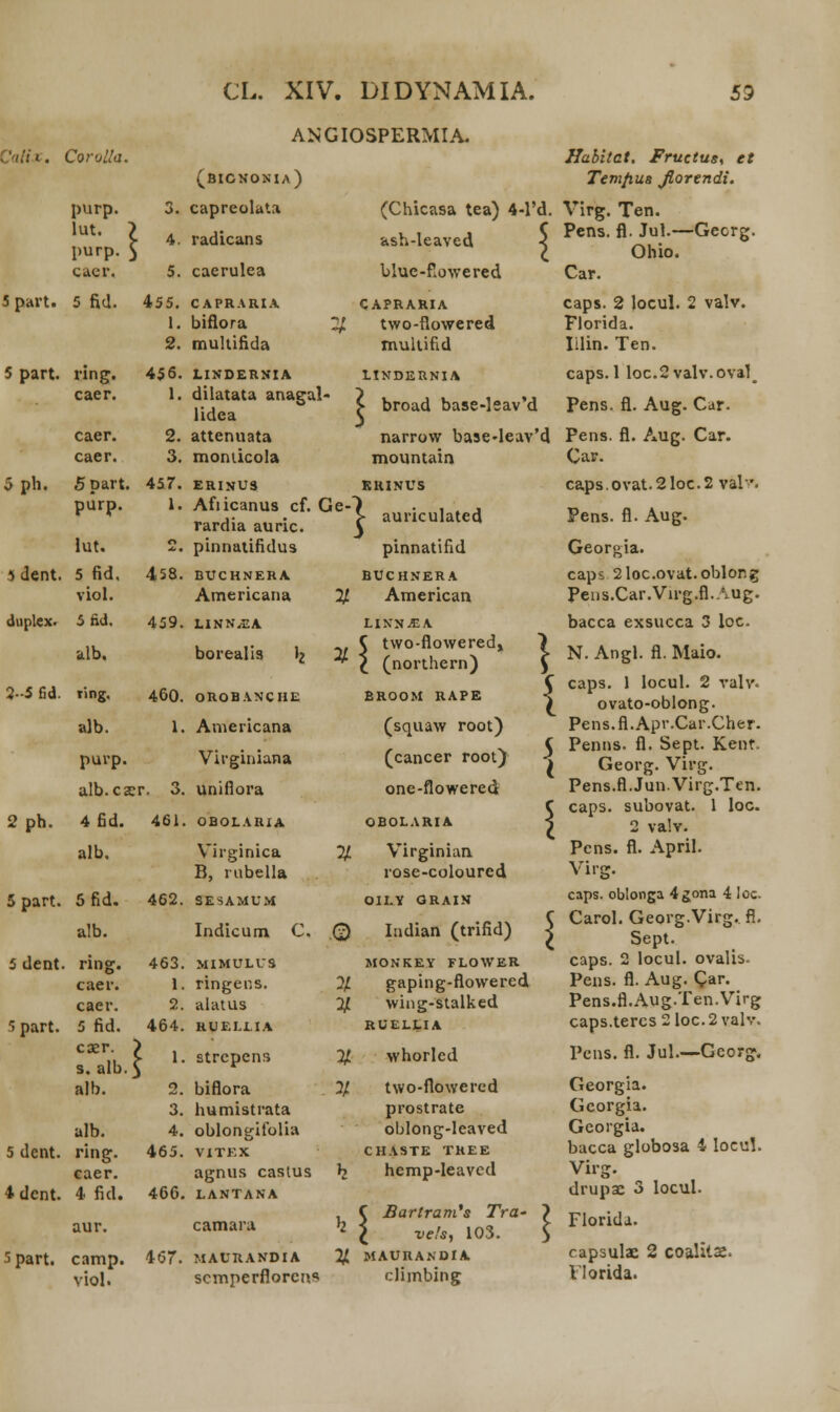 ANGIOSPERMIA. Calix. Corulla. purp iut. pu cacr. 5 part. 5 fid. rp. 5 5 part. ring. caer. 5ph. caer. 2. caer. 3. 5Dart. 457. purp. lut. > dent. 5 fid, viol. 5ad. alb. (bicnonia) 3. capreolata 4. radicans 5. caerulea 455. CAPRARIA 1. biflora % 2. multifida 456- LINDERNIA 1. dilatata anagal- lidea attenuata momicola ERIJfUS Afiicanus cf. Ge- rardia auric. pinnatifidus BUCHNERA Americana 1. 458. duplex. 459. 2-5 fid. ting. 460. alb. 1. purp. alb. cser. 3. 2 ph. 4 fid. 461. alb. 5 part. 5 fid. alb. 5 dent. ring. caer. caer. 5 fid. c s alb. 5 part. ser. > .alb.J 462. 463. 1. 2. 464. LINN^EA borealis lj OROBANCHE Americana Virginiana uniflora obolaria Virginica B, rubella SESAMUM Indicum (Chicasa tea) 4-1'd ash-leaved blue-f.owered CAPRARIA two-flowered multind LINDERNIA broad base-leav'd narrow base-leav'd mountain KRINUS > auriculated pinnatifid BUCHNERA American % LINN.EA two-flowered» (northern) BROOM RAPE (squaw root) (cancer root) one-flowered OBOLARIA Virginian rose-coloured \ MIMULUS ringer.s. alatus RUELLIA 1. strepens alb. 5 dent. ring. caer. 4 dent. 4 fid. aur. 46i 466. 5part. camp. 467. viol. biflora humistrata oblongifolia VITEX agnus casius LANTANA camara MAURANDIA scmperfloren* OILV ORAIN C. 0 Indian (trifid) MONKEY FLOWER % gaping-flowered 11 wing-stalked RUELLIA % whorled 2/ two-flowered prostrate oblong-leaved CHASTE TREE hemp-leaved jBartram's Tra- ve!s, 103. ^ MAURANDIA dimbing Habitat. Fructuss et Temfius Jlorendi. Virg. Ten. Pens. fl. Jul.—Georg. Ohio. Car. caps. 2 locul. 2 valv. Florida. Iilin. Ten. caps. 1 loc.Svalv.oval^ Pens. fl. Aug. Car. Pens. fl. Aug. Car. Car. caps.ovat.21oc.2 val'. Pens. fl. Aug. Georgia. caps 2loc.ovat.oblor,g Pens.Car.Virg.fl.Aug. bacca exsucca 3 loc. N. Angl. fl. Maio. caps. 1 locul. 2 valv. ovato-oblong. Pens.fl.Apr.Car.Cher. Penns. fl. Sept. Kenf Georg. Virg. Pens.fl.JunVirg.Ten. caps. subovat. 1 loc. 2 va!v. Pcns. fl. April. Virg. caps. oblonga 4&ona 4 loc. Carol. Georg.Virg.. fl. Sept. caps. 2 locul. ovalis. Pens. fl. Aug. Qar. Pens.fl.Aug.Ten.Virg caps.tercs 2 loc. 2 valv. Pcns. fl. Jul.—Georg, Georgia. Gcorgia. Gcorgia. bacca globosa 4 locul. Virg. drupae 3 locul. Florida. capsula: 2 coalxls. llorida.