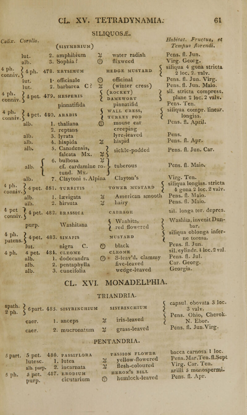 SILIQUOSjE. Calix. Corolla. 4 ph. conniv. 4 ph con lut. alb. £ 4 ph. lut. lut. ': Upet niv. } r (sisymbrium) 2. amphibium 3. Sophia ? 478. ERYSIMUM 1* officinale 2. barbarea C? 4 ph. conniv. 479. HESPERIS pinnatifida 4pct. 480. ARABIS alb. alb. ulb. alb. alb. { 1. thahana 2. reptans 3. lyrata 4. hispida % 5. Canadensis, falcata Mx. % 6. bulbosa % cf. cardamine ro- tund. Mx. 7. Claytoni s.AIpina water radish flixwecd HEDGE MUSTARD officinal (winter cress) (rocket) damewort pinnatifid < WAU CRESS, \ TURKEY POD ® 21 mouse ear creeping lyrerleaved hispid C sickle-podded } tuberous 4 ph. conniv. alb. alb. 4Pet Upet conniv. \ l alb. 4pet. 481. turritis 4 ph patens purp. ;s.Het- lut. 4 ph. 4 pet. alb. alb. alb. 1. Iaevigata 2. hirsuta 482. ERASSICA Washitana 483. sinapis nigra C. 481. CLEOME 1. dodecandra 2. pentaphylla 3. cuneifolia Clayton's TOWER MUSTARD American smooth hairy CABBA6E 5 Wa \ red .shita, fiowcred mustard (v) black CLEOME 0 • 8-leav'd, clammy five-leaved wedge-leaved Habitat. Fructus, eC Temfius flore?idi. Pcns. fl. Jun. Virg. Georg. siliqua 4 gona stricta 2 loc. 2. valv. Pens. fl. Jun. Virg. Pens. fl. Jun. Maio. sil. stricta compress. plane 2 loc. 2 valv. Pens. Ten. siliqua compr. linear„ longiss. Pens. fl. April. Pens. Pens. fl. Apr. Pens. fl. Jun. Car. Pens. fl. Maio. Virg. Ten. siliqua longiss. stricta 4 gona 2 loc.2 valv. Pens. fl. Maio. Pens. fl. Maio. sil. longa ter. deprcs. Washiia, invenit Dun- bar. siliqua oblonga infer- ne torosa. Pens. fl. Jun. sil.cylindr. 1 loc.2 val. Pens. fl. Jul. Car. Georg. Georiria. CL. XVI. MONADELPHIA. spath. 2ph. 5 part. 5 ph. 6part. 485. sisyrinchiui TRIANDRIA. SISYRINCHIUM caer. caer. 5 pet. lutesc. alb. purp 5 pct. purp. 1. anceps # iris-leaved 2. mucronatum % grass-leaved PENTANDRIA. 486. PASSIFLORA 1. lutea V. 2. incarnata % 487. ERODIUM cicutarium (?) TAS3ION FLOWER yellow-flowered flesh-coloured heron's bill hemlock-leaved capsul. obovata 3 Ioc. 3 valv. Pens. Ohio, Chcrok. N. Ebor. Pens. fl. Jun.Virg. bacca carnosa 1 loc. Pens. Mar .Ten. fl.Sept Virg. Car. Ten. arilli 5 monospermi. Pens. fl. Apr.