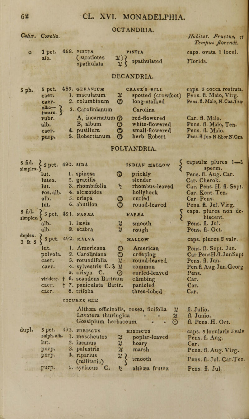 OCTANDRIA. Calix. Corolla. ■ Jlabitat. Fruetus, tt Temjius Jiorendi. 0 lpet. 488. PISTIA TISTIA caps. ovata 1 locul. alb. ( stratiotes spathulata VI spathulated Florida. DECANDRIA. 5 ph. 5 pet. 489. OERANICM crane's bill cap6. 5 cocca rostrata. caer. 1. maculatum 11 spotted (crowfoot) Pens. fl. Maio, Virg. caer. 0* • columbinum <2> long-stalkcd Pen*. fl. Maio, N. Cxs.Ten- albo— incarn. l * Carolinianum Carolina rubr. A, incarnatum 0 red-flowered Car. fl. Maio. alb. B, album 0 white-flowered Pens. fl.Maio, Ten. caer. 4. pusillum o small-flowered Pens. fl. Maio. purp. 5. Robertianum <2> herb Robert Pens. fl. Jun.N.Ebor.N.Cis, POLYANDRIA. 5fid. simplex ^5pet. 490. SIDA INDIAN MALLOW j capsulse plures 1—4 sperm. lut. 1. spinosa ® prickly Pens. fl. Aug. Car. lutea. 2. gracilis slender Car. Cherok. lut. 3. rhombifolia h rhombus-leaved Car. Pens.H. fl. Scpt. ros. alb . 4. alcaeoides hollyhock Car. Kent. Ten. alb. 5. crispa 0 curled Car. Pens. lut. 6. abutilon © round-leaved Pens. fl. Jul. Virg. 5 fid. simplex X 5 pet, 491. NAP-ffiA NAfJEA < caps. plures non de- hiscent. ' alb. 1. laevis M smooth Pens. fl. Jul. alb. 2. scabra il rougli Pens. fl. Oct. duplex. 3 & 5 ? 5pet. 492. MALVA MALLOW caps. plures 2 valv. • lut. 1. Americana a American Pens. fl. Sept. Jun. pelvola . 2. Caroliniana © cre*eping Car PensH.fl.JunSept caer. S. rotundifolia % round-leaved Pens. fl. Jun. caer. 4. sylvestris C. % n common Pen.fl. Aug.Jun.Gcorg 5. crispa C. m curled-leaved Pens. viridesc. t 6. scandens Bartram climbing Car. caer. t 7. panicuiata Bartr. panicled Car. cacr. 8. triloba three-lobed Car. cicures sunt Althaea ofBcinalis, rosea, ficifolia 11 fl. Julio. Lavatera thuringica i ' -t..:--.. % fl. Junio. Gossipium herbace um - 0 fl. Pens. H. Oct. dupl. 5pet. 493. HIBISCUS HIBISCUS caps. 5 locularis 5valv sulph.alb. 1. moscheutos % poplar-Ieaved Pens. fl. Aug. lut. 2. iacanus X hoary Car. purp. 3. palustris 11 marsh Pens. fl. Aug. Virg. purp. 4. riparius (militaris) vl smooth Pens. fl. Jul.Car.Tea.