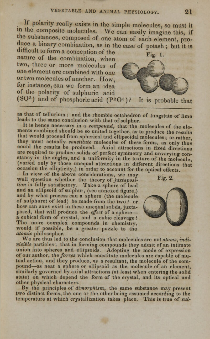 f polarity really exists in the simple molecules, so must it in the composite molecules. We can easily imagine this, if the substances, composed of one atom of each element, pro- duce a binary combination, as in the case of potash; but it is difficult to form a conception of the Fi 1 nature of the combination, when two, three or more molecules of one element are combined with one or two molecules of another. How, for instance, can we form an idea of the polarity of sulphuric acid (SO3) and of phosphoric acid (P205)? It is probable that as that of tellurium ; and the rhombic octahedron of tungstate of lime leads to the same conclusion with that of sulphur. It is hence necessary in a compound, that the molecules of the ele- ments combined should be so united together, as to produce the results that would proceed from spherical and ellipsoidal molecules; or rather they must actually constitute molecules of these forms, as only thus could the results be produced. Axial attractions in fixed directions are required to produce solids of perfect symmetry and unvarying con- stancy in the angles, and a uniformity in the texture of the molecule, (varied only by those unequal attractions in different directions that occasion the ellipticity,) in order to account for the optical effects. In view of the above considerations, we may „. well question whether the theory of juxtaposi- *Jg-2. tion is fully satisfactory. Take a sphere of lead and an ellipsoid of sulphur, (see annexed figure,) and by what process can a sphere (the molecule of sulphuret of lead) be made from the two ? or how can axes exist in these unequal solids, juxta- posed, that will produce the effect of a sphere— a cubical form of crystal, and a cubic cleavage? The more complex compounds in chemistry, would if possible, be a greater puzzle to the atomic philosopher. We are thus led to the conclusion that molecules are not atoms, indi- visible particles ; that in forming compounds they admit of an intimate union into spheres and ellipsoids. Adopting the mode of expression of our author, the forces which constitute molecules are capable of mu- tual action, and they produce, as a resultant, the molecule of the com- pound—as neat a sphere or ellipsoid as the molecule of an element, similarly governed by axial attractions (at least when entering the solid state) on which depend the form of the crystal, and its optical and other physical characters. By the principles of dimorphism, the same substance may present two distinct forms, the one or the other being assumed according to the temperature at which crystallization takes place. This is true of sul~