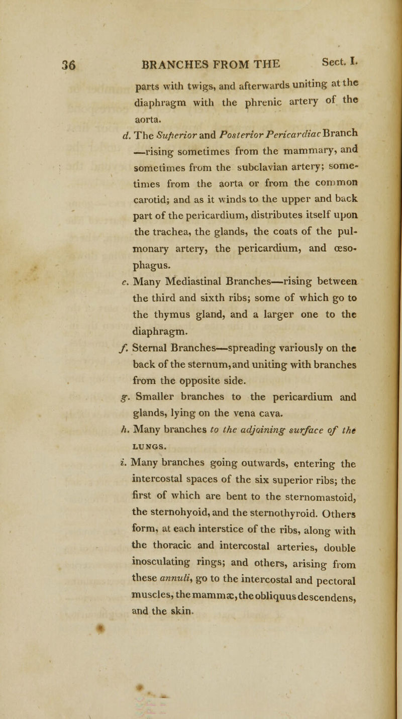 parts with twigs, and afterwards uniting at the diaphragm with the phrenic artery of the aorta. d. The Superior and Posterior Pericardiac Branch —rising sometimes from the mammary, and sometimes from the subclavian artery; some- times from the aorta or from the common carotid; and as it winds to the upper and back part of the pericardium, distributes itself upon the trachea, the glands, the coats of the pul- monary artery, the pericardium, and oeso- phagus. e. Many Mediastinal Branches—rising between the third and sixth ribs; some of which go to the thymus gland, and a larger one to the diaphragm. f. Sternal Branches—spreading variously on the back of the sternum, and uniting with branches from the opposite side. g. Smaller branches to the pericardium and glands, lying on the vena cava. h. Many branches to the adjoining surface of the LUNGS. i. Many branches going outwards, entering the intercostal spaces of the six superior ribs; the first of which are bent to the sternomastoid, the sternohyoid, and the sternothyroid. Others form, at each interstice of the ribs, along with the thoracic and intercostal arteries, double inosculating rings; and others, arising from these annuli, go to the intercostal and pectoral muscles, the mammae,theobliquusdescendens, and the skin.