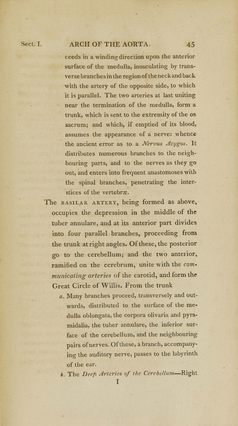 ceeds in a winding direction upon the anterior surface of the medulla, inosculating by trans- verse branchesin the region of the neck and back with the artery of the opposite side, to which it is pai'allel. The two arteries at last uniting near the termination of the medulla, form a trunk, which is sent to the extremity of the os sacrum; and which, if emptied of its blood, assumes the appearance of a nerve: whence the ancient error as to a JVcrvus Azygos. It distributes numerous branches to the neigh- bouring parts, and to the nerves as they go out, and enters into frequent anastomoses with the spinal branches, penetrating the inter- stices of the vertebrae. The basilar artery, being formed as above, occupies the depression in the middle of the tuber annulare, and at its anterior part divides into four parallel branches, proceeding from the trunk at right angles. Of these, the posterior go to the cerebellum; and the two anterior, ramified on the cerebrum, unite with the com- municating arteries of the carotid, and form the Great Circle of Willis. From the trunk a. Many branches proceed, transversely and out- wards, distributed to the surface of the me- dulla oblongata, the corpora olivaria and pyra- midalia, the tuber annulare, the inferior sur- face of the cerebellum, and the neighbouring pairs of nerves. Of these, a branch, accompany- ing the auditoiy nerve, passes to the labyrinth of the ear. *. The Deep Arteries of the Cerebellum—Right I