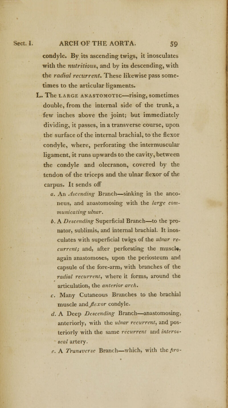 condyle. By its ascending twigs, it inosculates with the nutritious, and by its descending, with the radial recurrent. These likewise pass some- times to the articular ligaments. L. The large anastomotic—rising, sometimes double, from the internal side of the trunk, a few inches above the joint; but immediately dividing, it passes, in a transverse course, upon the surface of the internal brachial, to the flexor condyle, where, perforating the intermuscular ligament, it runs upwards to the cavity, between the condyle and olecranon, covered by the tendon of the triceps and the ulnar flexor of the carpus. It sends off a. An Ascending Branch—sinking in the anco- neus, and anastomosing with the large com- municating ulnar. b. A Descending Superficial Branch—to the pro- nator, sublimis, and internal brachial. It inos- culates with superficial twigs of the ulnar re- current; and, after perforating the musclf, again anastomoses, upon the periosteum and capsule of the fore-arm, with branches of the radial recurrent, where it forms, around the articulation, the anterior arch. c. Many Cutaneous Branches to the brachial muscle and flexor condyle. d. A Deep Descending Branch—anastomosing, anteriorly, with the ulnar recurrent, and pos- teriorly with the same recurrent and inferos- seal artery. e. A Transverse Branch—which, with the firo-