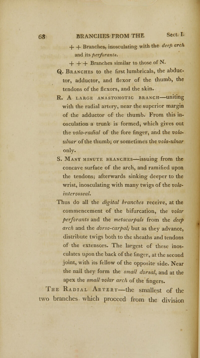 + + Branches, inosculating with the deep arch, and its fierforants. + -f + Branches similar to those of N. Q. Branches to the first lumbricals, the abduc- tor, adductor, and flexor of the thumb, the tendons of the flexors, and the skin. R. A LARGE ANASTOMOTIC BRANCH Uniting with the radial artery, near the superior margin of the adductor of the thumb. From this in- osculation a trunk is formed, which gives out the vola-radial of the fore finger, and the vola~ ulnar of the thumb; or sometimes the vola-ulnar only. S. Many minute branches—issuing from the concave surface of the arch, and ramified upon the tendons; afterwards sinking deeper to the wrist, inosculating with many twigs of the vola- interosseal. Thus do all the digital branches receive, at the commencement of the bifurcation, the volar perforants and the metacarpals from the deep arch and the dorso-carpal; but as they advance, distribute twigs both to the sheaths and tendons of the extensors. The largest of these inos- culates upon the back of the finger, at the second joint, with its fellow of the opposite side. Near the nail they form the small dorsal, and at the apex the small volar arch of the fingers. The Radial Artery—the smallest of the two branches which proceed from the division