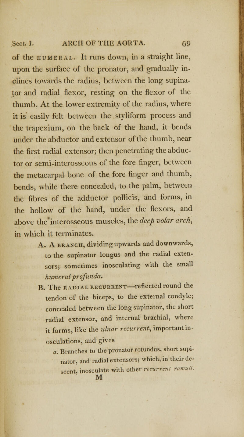 of the humeral. It runs down, in a straight line, upon the surface of the pronator, and gradually in- clines towards the radius, between the long supina- tor and radial flexor, resting on the flexor of the thumb. At the lower extremity of the radius, where it is easily felt between the styliform process and the trapezium, on the back of the hand, it bends under the abductor and extensor of the thumb, near the first radial extensor; then penetrating the abduc- tor or semi-interosseous of the fore finger, between the metacarpal bone of the fore finger and thumb, bends, while there concealed, to the palm, between the fibres of the adductor pollicis, and forms, in the hollow of the hand, under the flexors, and above the'interosseous muscles, the deep volar arch, in which it terminates. A. A branch, dividing upwards and downwards, to the supinator longus and the radial exten- sors; sometimes inosculating with the small humeral profunda. B. The radial recurrent—reflected round the tendon of the biceps, to the external condyle; concealed between the long supinator, the short radial extensor, and internal brachial, where it forms, like the ulnar recurrent, important in- osculations, and gives a. Branches to the pronator rotundus, short supi- nator, and radial extensors; which, in their de- scent, inosculate with other recurrent ramuli. M