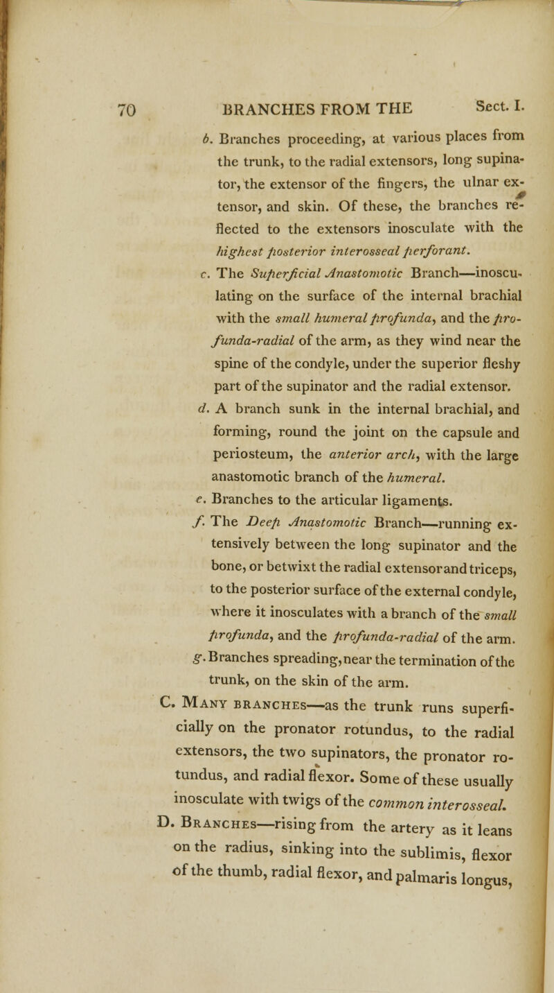 b. Branches proceeding, at various places from the trunk, to the radial extensors, long supina- tor, the extensor of the fingers, the ulnar ex- tensor, and skin. Of these, the branches re- flected to the extensors inosculate with the highest posterior interosseal perforant. c. The Superficial Anastomotic Branch—inoscu- lating on the surface of the internal brachial with the small humeral profunda, and the pro- funda-radial of the arm, as they wind near the spine of the condyle, under the superior fleshy part of the supinator and the radial extensor. d. A branch sunk in the internal brachial, and forming, round the joint on the capsule and periosteum, the anterior arch, with the large anastomotic branch of the humeral. e. Branches to the articular ligaments. f. The Deep Anastomotic Branch—running ex- tensively between the long supinator and the bone, or betwixt the radial extensorand triceps, to the posterior surface of the external condyle, where it inosculates with a branch of the small profunda, and the profunda-radial of the arm. g-.Branches spreading,near the termination of the trunk, on the skin of the arm. C. Many branches—as the trunk runs superfi- cially on the pronator rotundus, to the radial extensors, the two supinators, the pronator ro- tundus, and radial flexor. Some of these usually inosculate with twigs of the common interosseal. D. Branches—rising from the artery as it leans on the radius, sinking into the sublimis, flexor of the thumb, radial flexor, andpalmaris longus,