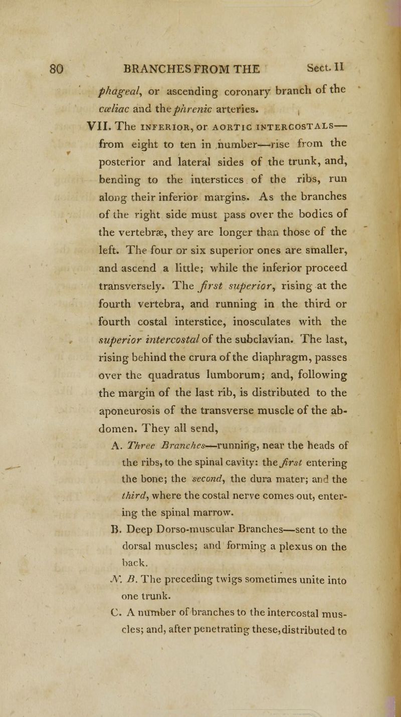 phageal, or ascending coronary branch of the coeliac and the phrenic arteries. VII. The inferior, or aortic intercostals— from eight to ten in number—rise from the posterior and lateral sides of the trunk, and, bending to the interstices of the ribs, run along their inferior margins. As the branches of the right side must pass over the bodies of the vertebrae, they are longer than those of the left. The four or six superior ones are smaller, and ascend a little; while the inferior proceed transversely. The first superior, rising at the fourth vertebra, and running in the third or fourth costal interstice, inosculates with the superior intercostal of the subclavian. The last, rising behind the crura of the diaphragm, passes over the quadratus lumborum; and, following the margin of the last rib, is distributed to the aponeurosis of the transverse muscle of the ab- domen. They all send, A. Three Branches—running, near the heads of the ribs, to the spinal cavity: theirs* entering the bone; the second, the dura mater; and the third, where the costal nerve comes out, enter- ing the spinal marrow. B. Deep Dorso-muscular Branches—sent to the dorsal muscles; and forming a plexus on the back. A*. B. The preceding twigs sometimes unite into one trunk. C. A number of branches to the intercostal mus- cles; and, after penetrating these,distributed to