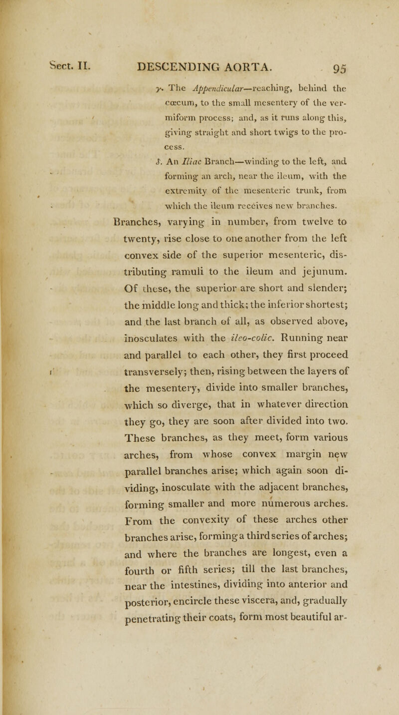 y. The Appendicular—reaching, behind the ccEcum, to the small mesentery of the ver- miform process; and, as it runs along this, giving straight and short twigs to the pro- cess. <T. An Iliac Branch—winding to the left, and forming an arch, near the ileum, with the extremity of the mesenteric trunk, from which the ileum receives new branches. Branches, varying in number, from twelve to twenty, rise close to one another from the left convex side of the superior mesenteric, dis- tributing ramuli to the ileum and jejunum. Of these, the superior are short and slender; the middle long and thick; the inferior shortest; and the last branch of all, as observed above, inosculates with the ileo-colic. Running near and parallel to each other, they first proceed 1 transversely; then, rising between the layers of the mesentery, divide into smaller branches, which so diverge, that in whatever direction they go, they are soon after divided into two. These branches, as they meet, form various arches, from whose convex margin new parallel branches arise; which again soon di- viding, inosculate with the adjacent branches, forming smaller and more numerous arches. From the convexity of these arches other branches arise, forming a third series of arches; and where the branches are longest, even a fourth or fifth series; till the last branches, near the intestines, dividing into anterior and posterior, encircle these viscera, and, gradually penetrating their coats, form most beautiful ar-