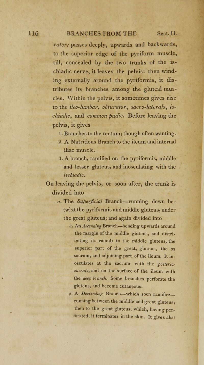 rator; passes deeply, upwards and backwards, to the superior edge of the pyriform muscle, till, concealed by the two trunks of the is- chiadic nerve, it leaves the pelvis: then wind- ing externally around the pyriformis, it dis- tributes its branches among the gluteal mus- cles. Within the pelvis, it sometimes gives rise to the ileo-lumbar, obturator, sacro-laterals, is- chiadic, and common pudic. Before leaving the pelvis, it gives 1. Branches to the rectum; though often wanting. 2. A Nutritious Branch to the ileum and internal iliac muscle. 3. A branch, ramified on the pyriformis, middle and lesser gluteus, and inosculating with the ischiadic. On leaving the pelvis, or soon after, the trunk is divided into a. The Superficial Branch—running down be- twixt the pyriformis and middle gluteus, under the great gluteus; and again divided into «. An Ascending Branch—bending upwards around the margin of the middle gluteus, and distri- buting its ramuli to the middle gluteus, the superior part of the great, gluteus, the os sacrum, and adjoining part of the ileum. It in- osculates at the sacrum with the posterior sacrals, and on the surface of the ileum with the deep branch. Some branches perforate the gluteus, and become cutaneous. /3. A Descending Branch—which soon ramifies running between the middle and great gluteus; then to the great gluteus; which, having per- forated, it terminates in the skin. It gives also