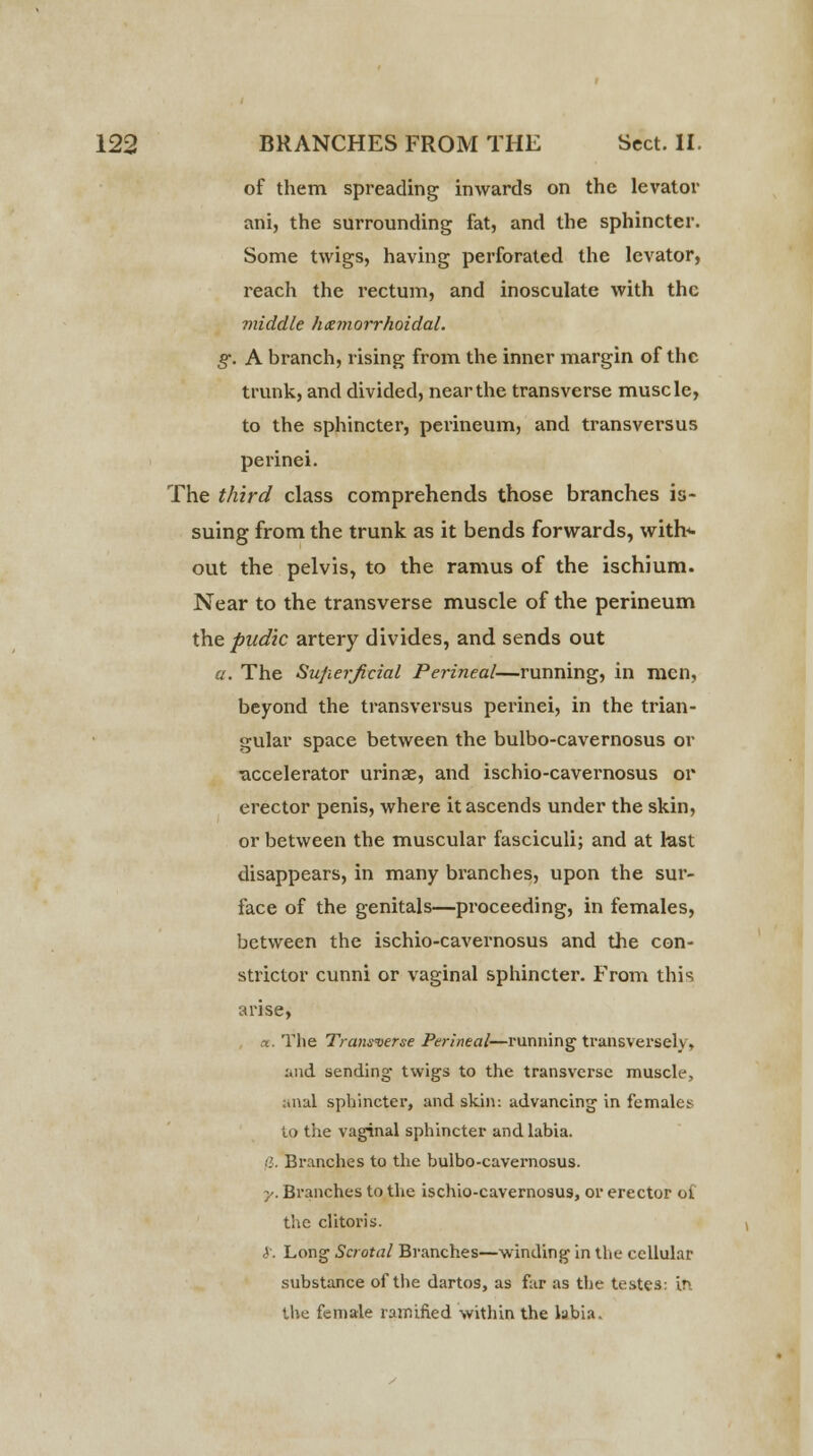 of them spreading inwards on the levator ani, the surrounding fat, and the sphincter. Some twigs, having perforated the levator, reach the rectum, and inosculate with the middle hemorrhoidal, g. A branch, rising from the inner margin of the trunk, and divided, near the transverse muscle, to the sphincter, perineum, and transversus perinei. The third class comprehends those branches is- suing from the trunk as it bends forwards, witb> out the pelvis, to the ramus of the ischium. Near to the transverse muscle of the perineum the pudic artery divides, and sends out a. The Superficial Perineal—running, in men, beyond the transversus perinei, in the trian- gular space between the bulbo-cavernosus or ■accelerator urinae, and ischio-cavernosus or erector penis, where it ascends under the skin, or between the muscular fasciculi; and at last disappears, in many branches, upon the sur- face of the genitals—proceeding, in females, between the ischio-cavernosus and the con- strictor cunni or vaginal sphincter. From this arise, n. The Transverse Perineal—running transversely, and sending twigs to the transverse muscle, anal sphincter, and skin: advancing in females to the vaginal sphincter and labia. fi. Branches to the bulbo-cavernosus. y. Branches to the ischio-cavernosus, or erector of the clitoris. <$\ Long Scrotal Branches—winding in the cellular substance of the dartos, as far as the testes: jji the female ramified within the labia.