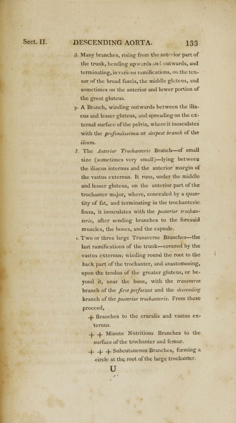 (3. Many branches, rising from the ant^'ior part of the trunk, bending upwards and outwards, and terminating, in various ramifications, on the ten- sor of the broad fascia, the middle gluteus, and sometimes on the anterior and lower portion of the great gluteus. y. A Branch, winding outwards between the ilia- cus and lesser gluteus, and spi'eadingon the ex- ternal surface of the pelvis, where it inosculates with the profundissima or deepest branch of the ileum. $. The Anterior Trochanteric Branch—of small size (sometimes very small)—lying betweeu the iliacus internus and the anterior margin of the vastus externus. It runs, under the middle and lesser gluteus, on the anterior part of the trochanter major, where, concealed by a quan- tity of fat, and terminating in the trochanteric, fossa, it inosculates with the posterior trochan- teric, after sending branches to the foresaid muscles, the bones, and the capsule. 1. Two or three large Transverse Branches—the last ramifications of the trunk—covered by the vastus externus; winding round the root to the back part of the trochanter, and anastomosing, upon the tendon of the greater gluteus, or be- yond it, near the bone, with the transverse, branch of the first perforant and the descending branch of the posterior trochanteric. From these proceed, _l Branches to the cruralis and vastus ex- ternus. j i_ Minute Nutritious Branches to the surface of the trochanter and femur. _j_ _i j_ Subcutaneous Branches, forming a circle at the root of the large trochanter. u