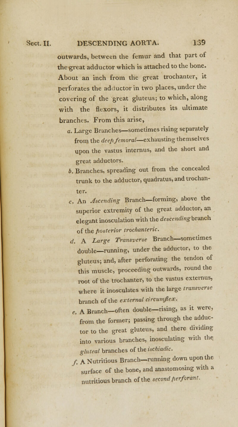outwards, between the femur and that part of the great adductor which is attached to the bone. About an inch from the great trochanter, it perforates the adductor in two places, under the covering of the great gluteus; to which, along with the flexors, it distributes its ultimate branches. From this arise, a. Large Branches—sometimes vising separately from the deep femoral—exhausting themselves upon the vastus internus, and the short and great adductors. b. Branches, spreading out from the concealed trunk to the adductor, quadratus, and trochan- ter. c. An Ascending Branch—forming, above the superior extremity of the great adductor, an elegant inosculation with the descending branch of the posterior trochanteric. d. A Large Transverse Branch—sometimes double—running, under the adductor, to the gluteus; and, after perforating the tendon of this muscle, proceeding outwards, round the root of the trochanter, to the vastus externus, where it inosculates with the large transverse branch of the external circumflex. e. A Branch—often double—rising, as it were, from the former; passing through the adduc- tor to the great gluteus, and there dividing into various branches, inosculating with the, gluteal branches of the ischiadic. f. A Nutritious Branch—running down upon the surface of the bone, and anastomosing with a nutritious branch of the second perforant.