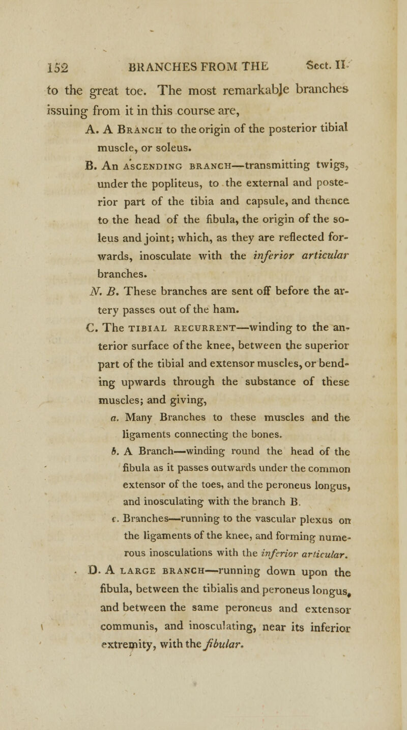 to the great toe. The most remarkabje branches issuing from it in this course are, A. A Branch to the origin of the posterior tibial muscle, or soleus. B. An ascending branch—transmitting twigs, under the popliteus, to the external and poste- rior part of the tibia and capsule, and thence to the head of the fibula, the origin of the so- leus and joint; which, as they are reflected for- wards, inosculate with the inferior articular branches. N. B. These branches are sent off before the ar- tery passes out of the ham. C. The tibial recurrent—winding to the an- terior surface of the knee, between the superior part of the tibial and extensor muscles, or bend- ing upwards through the substance of these muscles; and giving, a. Many Branches to these muscles and the ligaments connecting the bones. b. A Branch—winding round the head of the fibula as it passes outwards under the common extensor of the toes, and the peroneus longus, and inosculating with the branch B. c. Branches—running to the vascular plexus on the ligaments of the knee, and forming nume- rous inosculations with the inferior articular. • D. A large branch—running down upon the fibula, between the tibialis and peroneus longus and between the same peroneus and extensor communis, and inosculating, near its inferior extremity, with the fibular.