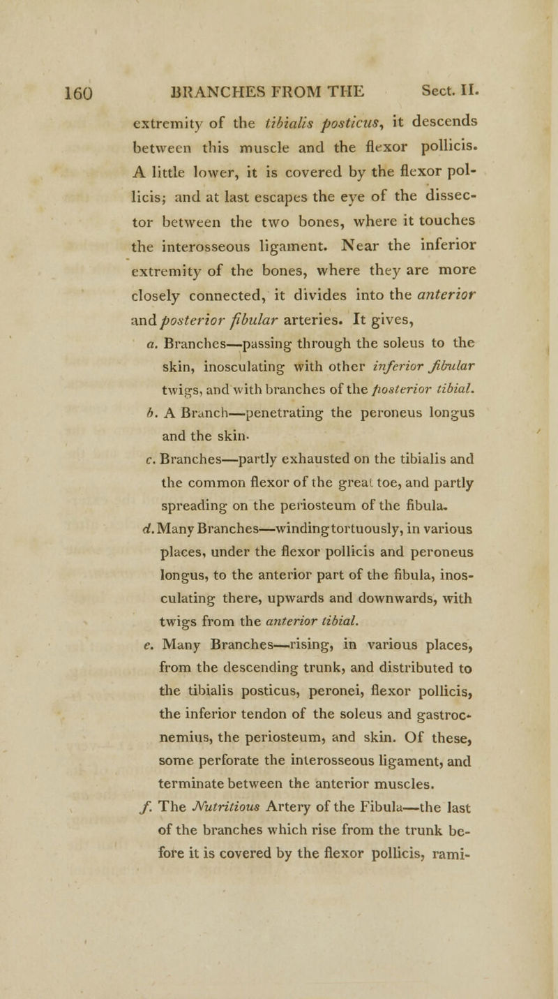 extremity of the tibialis posticus, it descends between this muscle and the flexor pollicis. A little lower, it is covered by the flexor pol- licis; and at last escapes the eye of the dissec- tor between the two bones, where it touches the interosseous ligament. Near the inferior extremity of the bones, where they are more closely connected, it divides into the anterior and posterior fibular arteries. It gives, a. Branches—passing through the soleus to the skin, inosculating with other inferior fibular twigs, and with branches of the posterior tibial. b. A Branch—penetrating the peroneus longus and the skin- c. Branches—partly exhausted on the tibialis and the common flexor of the greai toe, and partly spreading on the periosteum of the fibula, d. Many Branches—winding tortuously, in various places, under the flexor pollicis and peroneus longus, to the anterior part of the fibula, inos- culating there, upwards and downwards, with twigs from the anterior tibial. e. Many Branches—rising, in various places, from the descending trunk, and distributed to the tibialis posticus, peronei, flexor pollicis, the inferior tendon of the soleus and gastroc- nemius, the periosteum, and skin. Of these, some perforate the interosseous ligament, and terminate between the anterior muscles. f. The Nutritious Artery of the Fibula—the last of the branches which rise from the trunk be- fore it is covered by the flexor pollicis, rami-