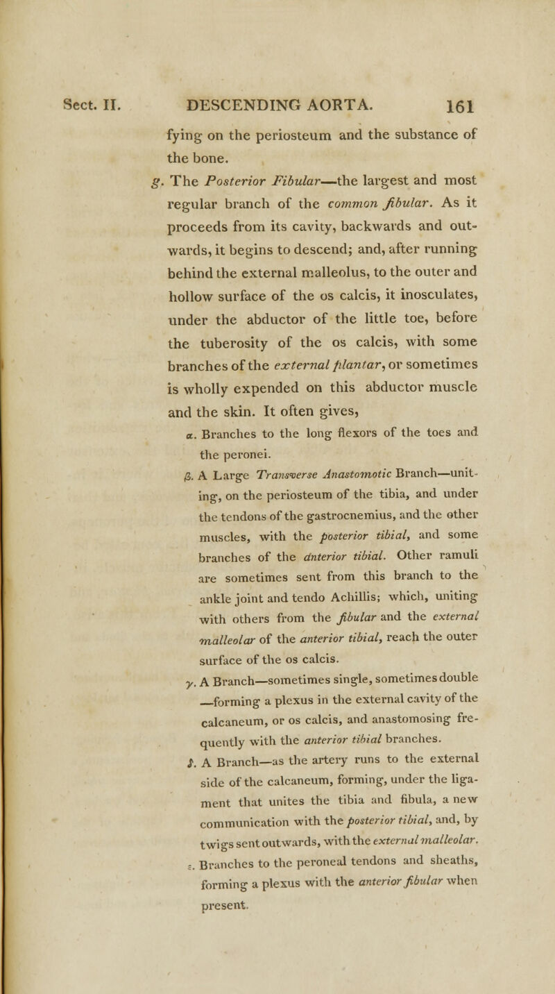 fying on the periosteum and the substance of the bone. g. The Posterior Fibular—the largest and most regular branch of the common fibular. As it proceeds from its cavity, backwards and out- wards, it begins to descend; and, after running behind the external malleolus, to the outer and hollow surface of the os calcis, it inosculates, under the abductor of the little toe, before the tuberosity of the os calcis, with some branches of the external plantar, or sometimes is wholly expended on this abductor muscle and the skin. It often gives, «. Branches to the long flexors of the toes and the peronei. /S. A Large Transverse Anastomotic Branch—unit- ing, on the periosteum of the tibia, and under the tendons of the gastrocnemius, and the other muscles, with the posterior tibial, and some branches of the dnterior tibial. Other ramuli are sometimes sent from this branch to the ankle joint and tendo Achillis; which, uniting with others from the fibular and the external malleolar of the anterior tibial, reach the outer surface of the os calcis. y. A Branch—sometimes single, sometimes double forming a plexus in the external cavity of the calcaneum, or os calcis, and anastomosing fre- quently with the anterior tibial branches. /. A Branch—as the artery runs to the external side of the calcaneum, forming, under the liga- ment that unites the tibia and fibula, a new communication with the posterior tibial, and, by twi o-ssent outwards, with the external malleolar. t. Branches to the peroneal tendons and sheaths, forming a plexus with the anterior fibular when present.