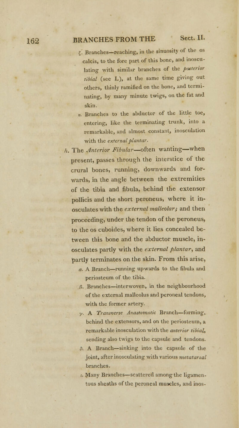 £. Branches—reaching, in the sinuosity of the os calcis, to the fore part of this bone, and inoscu- lating with similar branches of the posterior tibial (see L), at the same time giving out others, thinly ramified on the bone, and termi- nating, by many minute twigs, on the fat and skin. n. Branches to the abductor of the little toe, entering, like the terminating trunk, into a remarkable, and almost constant, inosculation with the external plantar, h. The Anterior Fibular—often wanting—when present, passes through the interstice of the crural bones, running, downwards and for- wards, in the angle between the extremities of the tibia and fibula, behind the extensor pollicis and the short peroneus, where it in- osculates with the external malleolar; and then proceeding, under the tendon of the peroneus, to the os cuboides, where it lies concealed be- tween this bone and the abductor muscle, in- osculates partly with the external plantar, and partly terminates on the skin. From this arise, a. A Branch—running upwards to the fibula and periosteum of the tibia. H. Branches—interwoven, in the neighbourhood of the external malleolus and peroneal tendons, with the former artery. y. A Transverse Anastomotic Branch—forming, behind the extensors, and on the periosteum, a remarkable inosculation with the anterior tibial, sending also twigs to the capsule and tendons. S-. A Branch—sinking into the capsule of the joint, after inosculating with various metatarsal branches. i. Many Branches—scattered among the ligamen- tous sheaths of the peroneal muscles, and inos-