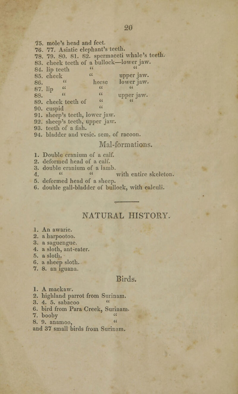 75. mole's head and feet. 76. 77. Asiatic elephant's teeth. 78. 79. 80. 81. 82. spermaceti whale's teeth. 83. cheek teeth of a bullock—lower jaw. 84. lip teeth   85. cheek  upper jaw. 86.  horse lower jaw. 87. lip    88.   upper jaw. 89. cheek teeth of   90. cuspid  91. sheep's teeth, lower jaw. 92. sheep's teeth, upper jaw. 93. teeth of a fish. 94. bladder and vesic. sem. of racoon. Mal-formations. 1. Double cranium of a calf. 2. deformed head of a calf. 3. double cranium of a lamb. 4.   with entire skeleton. 5. deformed head of a sheep. 6. double gall-bladder of bullock, with calculi. NATURAL HISTORY. 1. An awarie. 2. a harpootoo. 3. a saguengue. 4. a sloth, ant-eater. 5. a sloth. G. a sheep sloth. 7. 8. an iguana. Rirv 1. A mackaw. Oil I 2. highland parrot from Surinam. 3. 4. 5. sabacoo u 6. bird from Para Creek, Surinam 7. booby a 8. 9. anamoo, a and 37 small birds from Surinam.