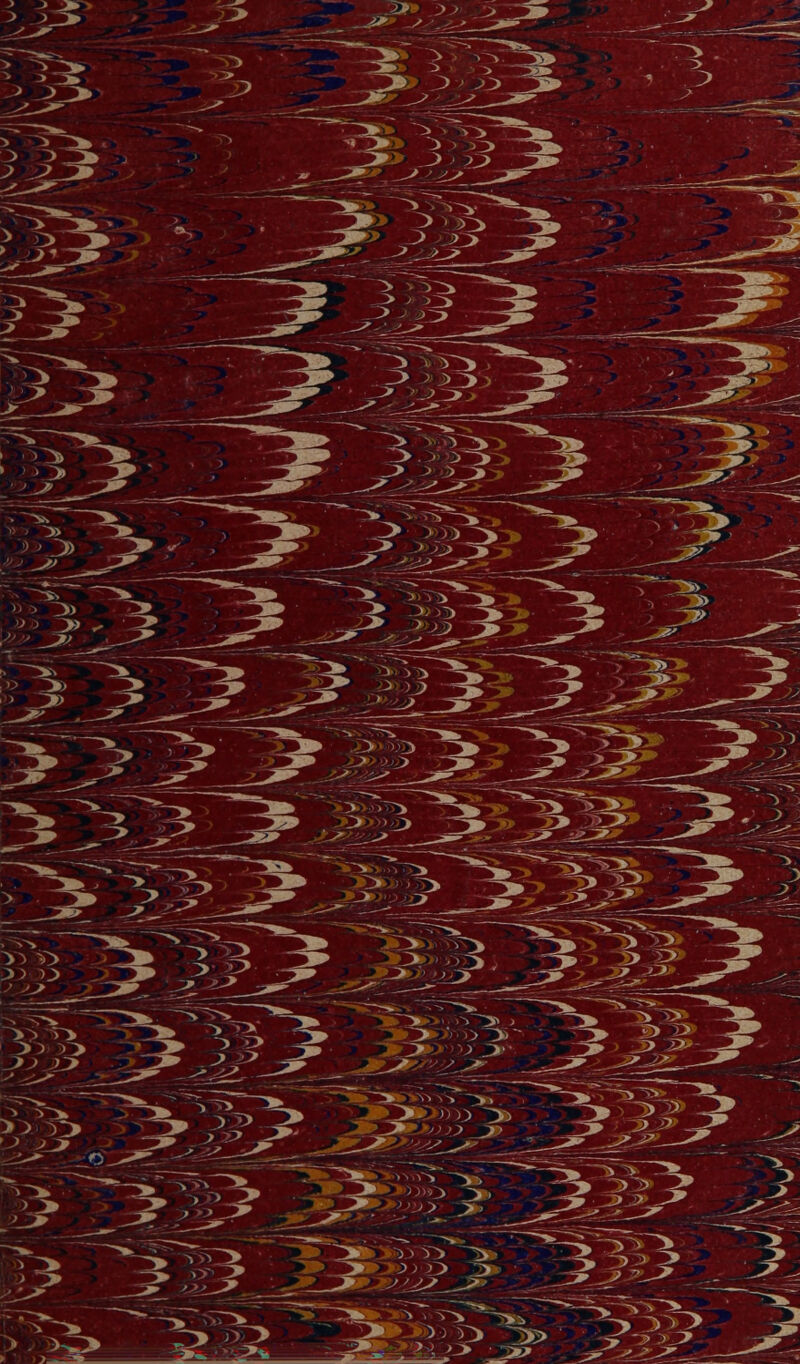 y> y > y & =~ B >3£ ; ^» • ».oT )> > -