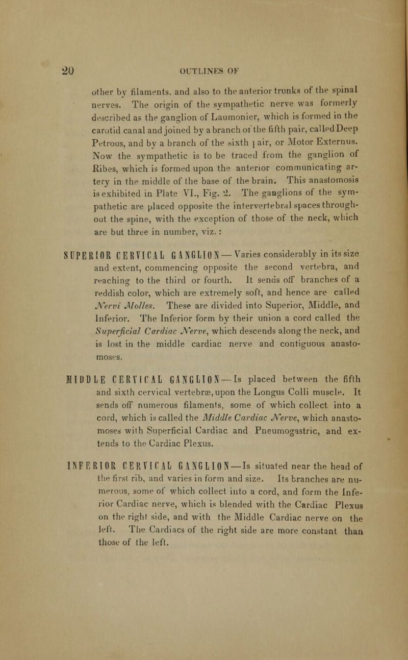 other by filaments, and also to the anterior trunks of the spinal nerves. The origin of the sympathetic nerve was formerly described as the ganglion of Laumonier, which is formed in the carotid canal and joined by abranch of the fifth pair, called Deep Petrous, and by a branch of the sixth \ air, or Motor Externus. Now the sympathetic is to be traced from the ganglion of Ribes, which is formed upon the anterior communicating ar- tery in the middle of the base of the brain. This anastomosis is exhibited in Plate VI., Fig. 2. The ganglions of the sym- pathetic are placed opposite the intervertebral spaces through- out the spine, with the exception of those of the neck, which are but three in number, viz.: SUPERIOR CERVICAL G A NG LI ON — Varies considerably in its size and extent, commencing opposite the second vertebra, and reaching to the third or fourth. It sends off branches of a reddish color, which are extremely soft, and hence are called Nervi Molles. These are divided into Superior, Middle, and Inferior. The Inferior form by their union a cord called the Superficial Cardiac Nerve, which descends along the neck, and is lost in the middle cardiac nerve and contiguous anasto- moses. MIDDLE CERVICAL GANGLION —Is placed between the fifth and sixth cervical vertebrae, upon the Longus Colli muscle. It sends off numerous filaments, some of which collect into a cord, which is called the Middle Cardiac Nerve, which anasto- moses with Superficial Cardiac and Pneumogastric, and ex- tends to the Cardiac Plexus. INFERIOR CERVICAL GANGLION —Is situated near the head of the first rib, and varies in form and size. Its branches are nu- merous, some of which collect into a cord, and form the Infe- rior Cardiac nerve, which is blended with the Cardiac Plexus on the right side, and with the Middle Cardiac nerve on the left. The Cardiacs of the right side are more constant than those of the left.