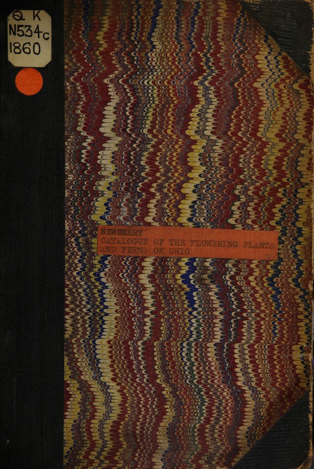 digitised image 1