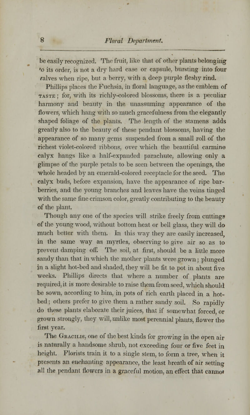 be easily recognized. The fruit, like that of other plants belonging *o its order, is not a dry hard case or capsule, bursting into four ralves when ripe, but a berry, with a deep purple fleshy rind. Phillips places the Fuchsia, in floral language, as the emblem of taste ; for, with its richly-colored blossoms, there is a peculiar harmony and beauty in the unassuming appearance of the flowers, which hang with so much gracefulness from the elegantly shaped foliage of the plants. The length of the stamens adds greatly also to the beauty of these pendant blossoms, having the appearance of so many gems suspended from a small roll of the richest violet-colored ribbons, over which the beautiful carmine calyx hangs like a half-expanded parachute, allowing only a glimpse of the purple petals to be seen between the openings, the whole headed by an emerald-colored receptacle for the seed. The calyx buds, before expansion, have the appearance of ripe bar- berries, and the young branches and leaves have the veins tinged with the same fine crimson color, greatly contributing to the beauty of the plant. Though any one of the species will strike freely from cuttings of the young wood, without bottom heat or bell glass, they will do much better with them. In this way they are easily increased, in the same way as myrtles, observing to give air so as to prevent damping off. The soil, at first, should be a little more sandy than that in which the mother plants were grown; plunged jn a slight hot-bed and shaded, they will be fit to pot in about five weeks. Phillips directs that where a number of plants are required, it is more desirable to raise them from seed, which should be sown, according to him, in pots of rich earth placed in a hot- bed ; others prefer to give them a rather sandy soil. So rapidly do these plants elaborate their juices, that if somewhat forced, or grown strongly, they will, unlike most perennial plants, flower tho first year. The Gracilis, one of the best kinds for growing in the open air is naturally a handsome shrub, not exceeding four or five feet in height. Florists train it to a single stem, to form a tree, when it presents an enchanting appearance, the least breath of air setting all the pendant flowers in a graceful motion, an effect that cannot