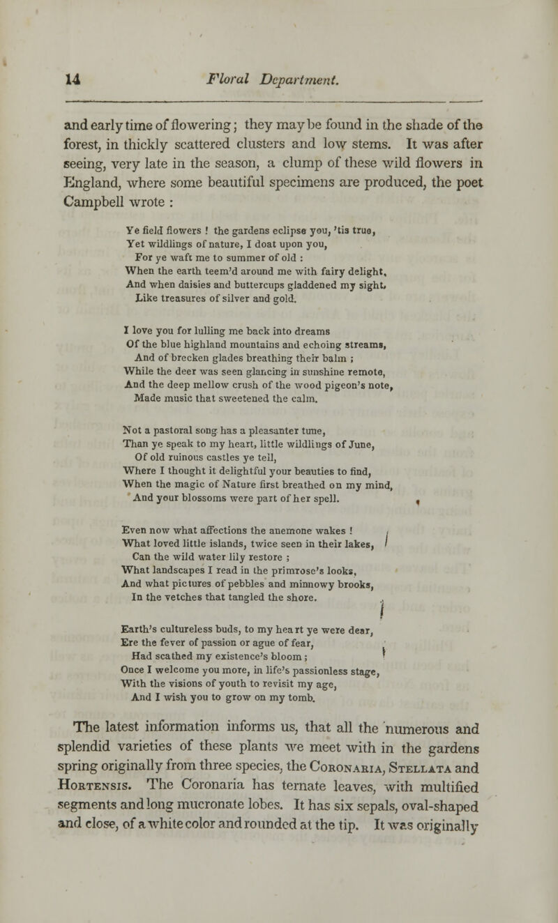 and early time of flowering; they may be found in the shade of the forest, in thickly scattered clusters and low stems. It was after seeing, very late in the season, a clump of these wild flowers in England, where some beautiful specimens are produced, the poet Campbell wrote : Ye field flowers ! the gardens eclipse you, 'tis true, Yet wildlings of nature, I doat upon you, For ye waft me to summer of old : When the earth teem'd around me with fairy delight. And when daisies and buttercups gladdened my sight. Like treasures of silver and gold. I love you for lulling me back into dreams Of the blue highland mountaias and echoing streams, And of brecken glades breathing their balm ; While the deer was seen glancing in sunshine remote, And the deep mellow crush of the wood pigeon's note, Made music that sweetened the calm. Not a pastoral song has a pleasanter tune, Than ye speak to my heart, little wildlings of June, Of old ruinous castles ye tell, Where I thought it delightful your beauties to find, When the magic of Nature first breathed on my mind, And your blossoms were part of her spell. , Even now what affections the anemone wakes .' < What loved little islands, twice seen in their lakes, ' Can the wild water lily restore ; What landscapes I read in the primrose's looks. And what pictures of pebbles and minnowy brooks, In the vetches that tangled the shore. Earth's cultureless buds, to my heart ye were dear, Ere the fever of passion or ague of fear, Had scathed my existence's bloom; Once I welcome you more, in life's passionless stage, With the visions of youth to revisit my age, And I wish you to grow on my tomb. The latest information informs us, that all the numerous and splendid varieties of these plants we meet with in the gardens spring originally from three species, the Coronabia, Stellata and Hortensis. The Coronaria has ternate leaves, with multified segments and long mucronate lobes. It has six sepals, oval-shaped and close, of a white color and rounded at the tip. It was originally