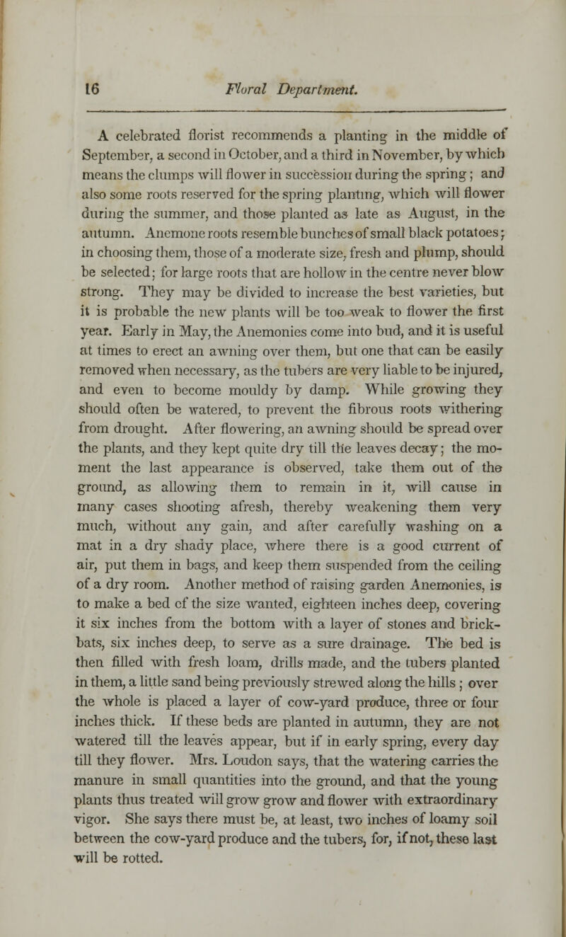 A celebrated florist recommends a planting in the middle of September, a second in October, and a third in November, by which means the chimps will flower in succession during the spring; and also some roots reserved for the spring planting, which will flower during the summer, and those planted as late as August, in the autumn. Anemone roots resemble bunches of small black potatoes j in choosing them, those of a moderate size, fresh and plump, should be selected; for large roots that are hollow in the centre never blow strong. They may be divided to increase the best varieties, but it is probable the new plants will be too weak to flower the first year. Early in May, the Anemonies come into bud, and it is useful at times to erect an awning over them, but one that can be easily removed when necessary, as the tubers are very liable to be injured, and even to become mouldy by damp. While growing they should often be watered, to prevent the fibrous roots withering from drought. After flowering, an awning should be spread over the plants, and they kept quite dry till the leaves decay; the mo- ment the last appearance is observed, take them out of the ground, as allowing them to remain in it, will cause in many cases shooting afresh, thereby weakening them very much, without any gain, and after carefully washing on a mat in a dry shady place, where there is a good current of air, put them in bags, and keep them suspended from the ceiling of a dry room. Another method of raising garden Anemonies, is to make a bed cf the size wanted, eighteen inches deep, covering it six inches from the bottom with a layer of stones and brick- bats, six inches deep, to serve as a sure drainage. The bed is then filled with fresh loam, drills made, and the tubers planted in them, a little sand being previously strewed along the hills ; over the whole is placed a layer of cow-yard produce, three or four inches thick. If these beds are planted in autumn, they are not watered till the leaves appear, but if in early spring, every day till they flower. Mrs. Loudon says, that the watering carries the manure in small quantities into the ground, and that the young plants thus treated will grow grow and flower with extraordinary vigor. She says there must be, at least, two inches of loamy soil between the cow-yard produce and the tubers, for, if not, these last will be rotted.