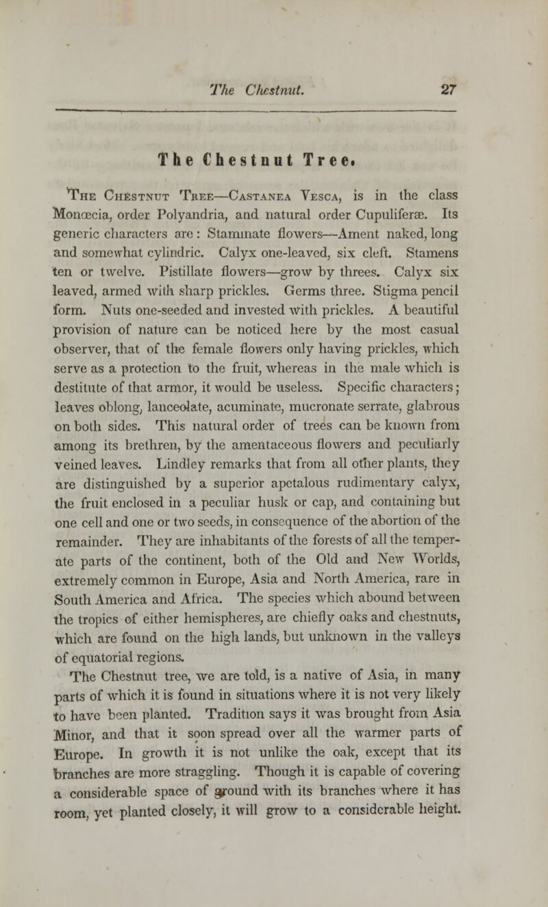 The Chestnut Tree. The Chestnut Tree—Castanea Vesca, is in the class Monoecia, order Polyandria, and natural order Cupuliferae. Its generic characters are : Staminate flowers—Ament naked, long and somewhat cylindric. Calyx one-leaved, six cleft. Stamens ten or twelve. Pistillate flowers—grow by threes. Calyx six leaved, armed with sharp prickles. Germs three. Stigma pencil form. Nuts one-seeded and invested with prickles. A beautiful provision of nature can be noticed here by the most casual observer, that of the female flowers only having prickles, which serve as a protection to the fruit, whereas in the male which is destitute of that armor, it would be useless. Specific characters ; leaves oblong, lanceolate, acuminate, mucronate serrate, glabrous on both sides. This natural order of trees can be known from among its brethren, by the amentaceous flowers and peculiarly veined leaves. Lindley remarks that from all other plants, they are distinguished by a superior apetalous rudimentary calyx, the fruit enclosed in a peculiar husk or cap, and containing but one cell and one or two seeds, in consequence of the abortion of the remainder. They are inhabitants of the forests of all the temper- ate parts of the continent, both of the Old and New Worlds, extremely common in Europe, Asia and North America, rare in South America and Africa. The species which abound between the tropics of either hemispheres, are chiefly oaks and chestnuts, which are found on the high lands, but unknown in the valleys of equatorial regions. The Chestnut tree, we are told, is a native of Asia, in many parts of which it is found in situations where it is not very likely to have been planted. Tradition says it was brought from Asia Minor, and that it soon spread over all the warmer parts of Europe. In growth it is not unlike the oak, except that its branches are more straggling. Though it is capable of covering a considerable space of ground with its branches where it has room, yet planted closely, it will grow to a considerable height.