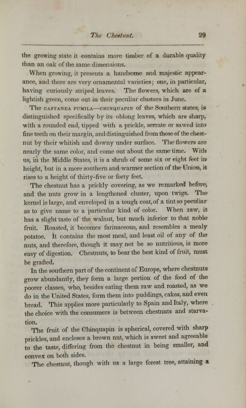 the growing state it contains more timber of a durable quality than an oak of the same dimensions. When growing, it presents a handsome and majestic appear- ance, and there are very ornamental varieties; one, in particular, having curiously striped leaves. The flowers, which are of a lightish green, come out in their peculiar clusters in June. The castanea pumila—chinquapin of the Southern states, is distinguished specifically by its oblong leaves, which are sharp, with a rounded end, tipped with a prickle, serrate or sawed into fine teeth on their margin, and distinguished from those of the chest- nut by their whitish and downy under surface. The flowers are nearly the same color, and come out about the same time. With us, in the Middle States, it is a shrub of some six or eight feet in height, but in a more southern and warmer section of the- Union, it rises to a height of thirty-five or forty feet. The chestnut has a prickly covering, as we remarked before^ and the nuts grow in a lengthened cluster, upon twigs. The kernel is large, and enveloped in a tough coat, of a tint so peculiar as to give name to a particular kind of color. When raw, it has a slight taste of the walnut, but much inferior to that noble fruit. Roasted, it becomes farinaceous, and resembles a mealy potatoe. It contains the most meal, and least oil of any of the nuts, and therefore, though it may not be so nutritious, is more easy of digestion. Chestnuts, to bear the best kind of fruit, must be grafted. In the southern part of the continent of Europe, where chestnuts grow abundantly, they form a large portion of the food of the poorer classes, who, besides eating them raw and roasted, as we do in the United States, form them into puddings, cakes, and even bread. This applies more particularly to Spain and Italy, where the choice with the consumers is between chestnuts and starva- tion. The fruit of the Chinquapin is spherical, covered with sharp prickles, and encloses a brown nut, which is sweet and agreeable to the taste, differing from the chestnut in being smaller, and convex on both sides. The chestnut, though with us a large forest tree, attaining a