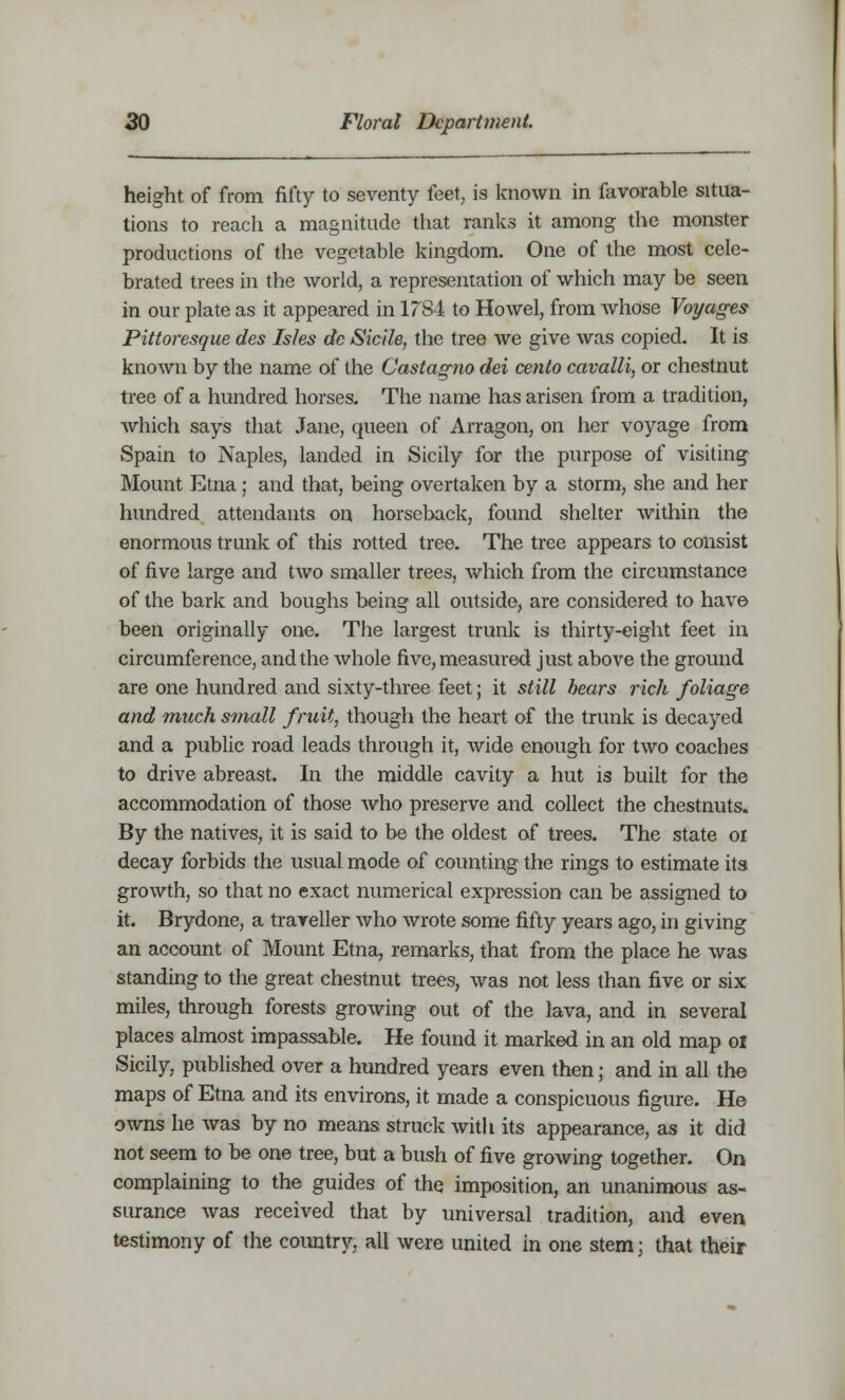 height of from fifty to seventy feet, is known in favorable situa- tions to reach a magnitude that ranks it among the monster productions of the vegetable kingdom. One of the most cele- brated trees in the world, a representation of which may be seen in our plate as it appeared in 1784 to Howel, from whose Voyages Pittoresque des Isles de Sicile, the tree we give was copied. It is known by the name of the Castagno del cento cavalli, or chestnut tree of a hundred horses. The name has arisen from a tradition, which says that Jane, queen of Arragon, on her voyage from Spain to Naples, landed in Sicily for the purpose of visiting Mount Etna ; and that, being overtaken by a storm, she and her hundred attendants on horseback, found shelter within the enormous trunk of this rotted tree. The tree appears to consist of five large and two smaller trees, which from the circumstance of the bark and boughs being all outside, are considered to have been originally one. The largest trunk is thirty-eight feet in circumference, and the whole five, measured just above the ground are one hundred and sixty-three feet; it still bears rich foliage and much small fruit, though the heart of the trunk is decayed and a public road leads through it, wide enough for two coaches to drive abreast. In the middle cavity a hut is built for the accommodation of those who preserve and collect the chestnuts. By the natives, it is said to be the oldest of trees. The state 01 decay forbids the usual mode of counting the rings to estimate its growth, so that no exact numerical expression can be assigned to it. Brydone, a traveller who wrote some fifty years ago, in giving an account of Mount Etna, remarks, that from the place he was standing to the great chestnut trees, was not less than five or six miles, through forests growing out of the lava, and in several places almost impassable. He found it marked in an old map oi Sicily, published over a hundred years even then; and in all the maps of Etna and its environs, it made a conspicuous figure. He owns he was by no means struck with its appearance, as it did not seem to be one tree, but a bush of five growing together. On complaining to the guides of the imposition, an unanimous as- surance was received that by universal tradition, and even testimony of the country, all were united in one stem; that their