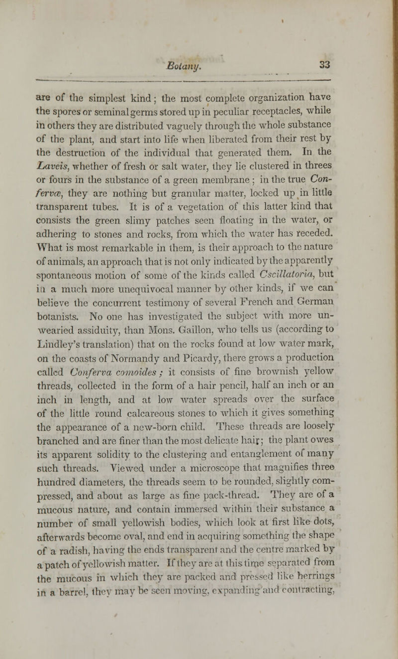 are of the simplest kind; the most complete organization have the spores or seminal germs stored up in peculiar receptacles, while in others they are distributed vaguely through the whole substance of the plant, and start into life when liberated from their rest by the destruction of the individual that generated them. In the Lavcis, whether of fresh or salt water, they lie clustered in threes or fours in the substance of a green membrane ; in the true Con- ferva;, they are nothing but granular matter, locked up in little transparent tubes. It is of a vegetation of diis latter kind that consists the green slimy patches seen floating in the water, or adhering to stones and rocks, from which the water has receded. What is most remarkable in them, is their approach to the nature of animals, an approach that is not only indicated by the apparently spontaneous motion of some of the kinds called Cscillatoria, but in a much more unequivocal manner by other kinds, if we can believe the concurrent testimony of several French and German botanists. No one has investigated the subject with more un- wearied assiduity, than Mons. Gaillon, who tells us (according to Lindley's translation) that on the rocks found at low water mark, on the coasts of Normandy and Picardy, there grows a production called Conferva comoides ; it consists of fine brownish yellow threads, collected in the form of a hair pencil, half an inch or an inch in length, and at low water spreads over the surface of the little round calcareous stones to which it gives something the appearance of a new-born child. These threads are loosely branched and are finer than the most delicate hair; the plant owes its apparent solidity to the clustering and entanglement of many such threads. Viewed under a microscope that magnifies three hundred diameters, the threads seem to be rounded, slightly com- pressed, and about as large as fine pack-thread. They are of a mucous nature, and contain immersed within their substance a number of small yellowish bodies, which look at first like dots, afterwards become oval, and end in acquiring something the shape of a radish, having the ends transparent and the centre marked by a patch of yellowish matter. If they are at Ibis time separated from the mucous in which they are packed and pressed like herrings in a barrel, they may be seen moving, expanding ;uid contracting,