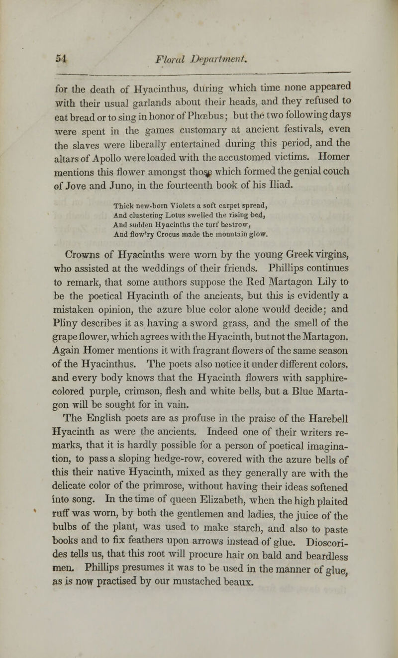 for the death of Hyacinthus, during which time none appeared with their usual garlands about their heads, and they refused to eat bread or to sing in honor of Phoebus; but the two following days were spent in the games customary at ancient festivals, even the slaves were liberally entertained during this period, and the altars of Apollo were loaded with the accustomed victims. Homer mentions this flower amongst thos^ which formed the genial couch of Jove and Juno, in the fourteenth book of his Iliad. Thick new-born Violets a soft carpet spread, And clustering Lotus swelled the rising bed, And sudden Hyacinths the turf bebtrow, And flow'ry Crocus made the mountain glow. Crowns of Hyacinths were worn by the young Greek virgins, who assisted at the weddings of their friends. Phillips continues to remark, that some authors suppose the Red Martagon Lily to be the poetical Hyacinth of the ancients, but this is evidently a mistaken opinion, the azure blue color alone would decide; and Pliny describes it as having a sword grass, and the smell of the grape flower, which agrees with the Hyacinth, but not the Martagon. Again Homer mentions it with fragrant flowers of the same season of the Hyacinthus. The poets also notice it under different colors, and every body knows that the Hyacinth flowers with sapphire- colored purple, crimson, flesh and white bells, but a Blue Marta- gon will be sought for in vain. The English poets are as profuse in the praise of the Harebell Hyacinth as were the ancients. Indeed one of their writers re- marks, that it is hardly possible for a person of poetical imagina- tion, to pass a sloping hedge-row, covered with the azure bells of this their native Hyacinth, mixed as they generally are with the delicate color of the primrose, without having their ideas softened into song. In the time of queen Elizabeth, when the high plaited ruff was worn, by both the gentlemen and ladies, the juice of the bulbs of the plant, was used to make starch, and also to paste books and to fix feathers upon arrows instead of glue. Dioscori- des tells us, that this root will procure hair on bald and beardless men. Phillips presumes it was to be used in the manner of glue as is now practised by our mustached beaux.