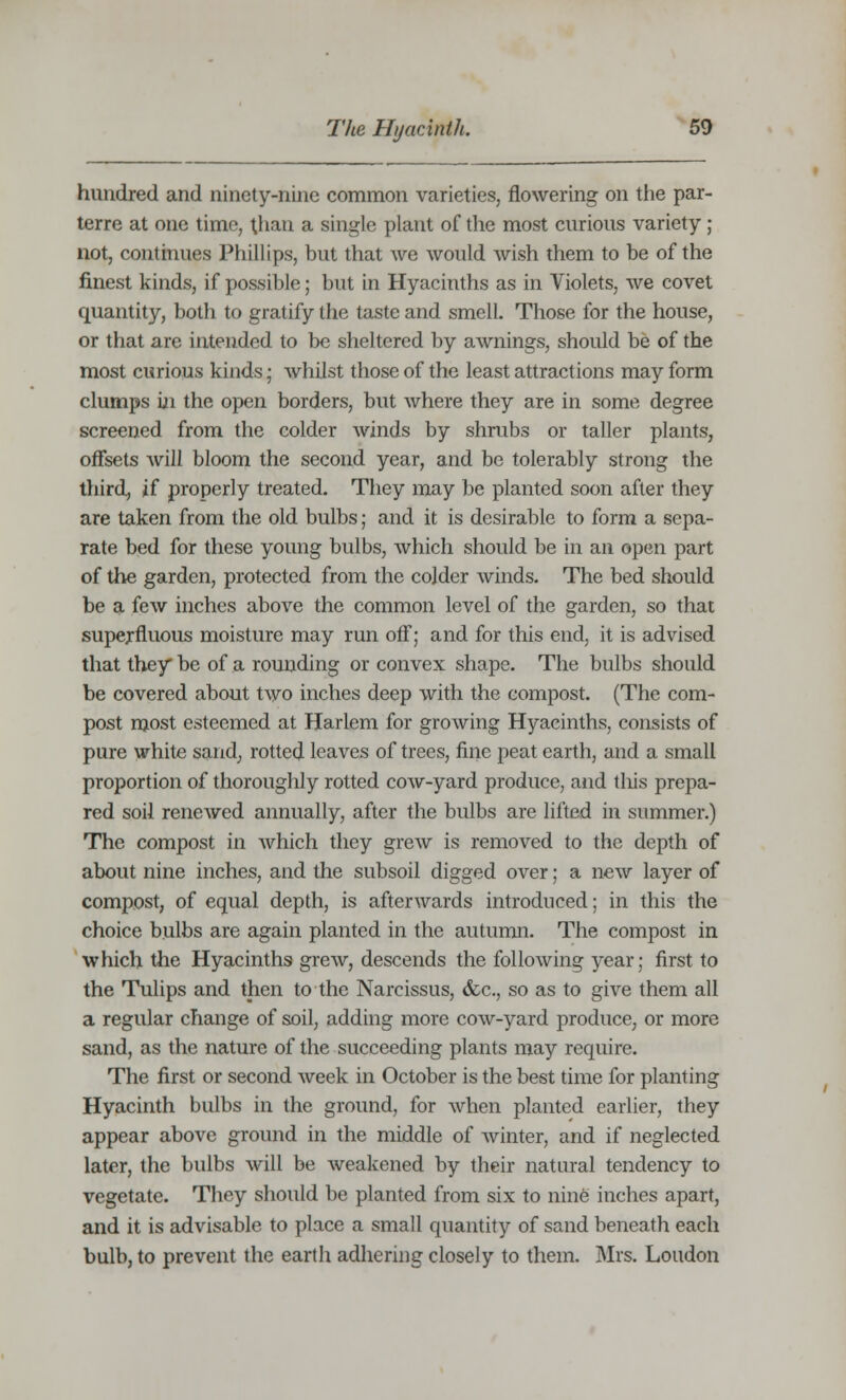 hundred and ninety-nine common varieties, flowering on the par- terre at one time, than a single plant of the most curious variety ; not, continues Phillips, but that we would wish them to be of the finest kinds, if possible; but in Hyacinths as in Violets, we covet quantity, both to gratify the taste and smell. Those for the house, or that are intended to be sheltered by awnings, should be of the most curious kinds; whilst those of the least attractions may form clumps in the open borders, but where they are in some degree screened from the colder winds by shrubs or taller plants, offsets will bloom the second year, and be tolerably strong the third, if properly treated. They may be planted soon after they are taken from the old bulbs; and it is desirable to form a sepa- rate bed for these young bulbs, which should be in an open part of the garden, protected from the colder winds. The bed should be a few inches above the common level of the garden, so that superfluous moisture may run off; and for this end, it is advised that they be of a rounding or convex shape. The bulbs should be covered about two inches deep with the compost. (The com- post most esteemed at Harlem for growing Hyacinths, consists of pure white sand, rotted leaves of trees, fine peat earth, and a small proportion of thoroughly rotted cow-yard produce, and this prepa- red soil renewed annually, after the bulbs are lifted in summer.) The compost in which they grew is removed to the depth of about nine inches, and the subsoil digged over; a new layer of compost, of equal depth, is afterwards introduced; in this the choice bulbs are again planted in the autumn. The compost in which the Hyacinths grew, descends the following year; first to the Tulips and then to the Narcissus, &c, so as to give them all a regular change of soil, adding more cow-yard produce, or more sand, as the nature of the succeeding plants may require. The first or second week in October is the best time for planting Hyacinth bulbs in the ground, for when planted earlier, they appear above ground in the middle of winter, and if neglected later, the bulbs will be weakened by their natural tendency to vegetate. They should be planted from six to nine inches apart, and it is advisable to place a small quantity of sand beneath each bulb, to prevent the earth adhering closely to them. Mrs. Loudon