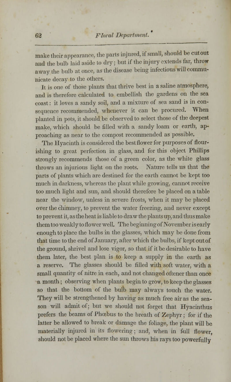 make their appearance, the parts injured, if small, should be cutout and the bulb laid aside to dry; but if the injury extends far, throw away the bulb at once, as the disease being infectious will commu- nicate decay to the others. It is one of those plants that thrive best in a saline atmosphere, and is therefore calculated to embellish the gardens on the sea coast: it loves a sandy soil, and a mixture of sea sand is in con- sequence recommended, whenever it can be procured. When planted in pots, it should be observed to select those of the deepest make, which should be filled with a sandy loam or earth, ap- proaching as near to the compost recommended as possible. The Hyacinth is considered the best flower for purposes of flour- ishing to great perfection in glass, and for this object Phillips strongly recommends those of a green color, as the white glass throws an injurious light on the roots. Nature tells us that the parts of plants which are destined for the earth cannot be kept too much in darkness, Avhereas the plant while growing, cannot receive too much light and sun, and should therefore be placed on a table near the window, unless in severe frosts, when it may be placed over the chimney, to prevent the water freezing, and never except to prevent it, as the heat is liable to draw the plants up, and thus make them too weakly to flower well The beginning of November is early enough to place the bulbs in the glasses, which may be done from that time to the end of January, after which the bulbs, if kept out of the ground, shrivel and lose vigor, so that if it be desirable to have them later, the best plan is to keep a supply in the earth as a reserve. The glasses should be filled with soft water, with a small quantity of nitre in each, and not changed oftener than once a month; observing when plants begin to grow, to keep the glasses so that the bottom of the bulb may always touch the water. They will be strengthened by having as much free air as the sea- son will admit of; but we should not forget that Hyacinthus prefers the beams of Phcebus to the breath of Zephyr ; for if the latter be allowed to break or damage the foliage, the plant will be materially injured in its flowering; and, when in full flower, should not be placed where the sun throws his rays too powerfully