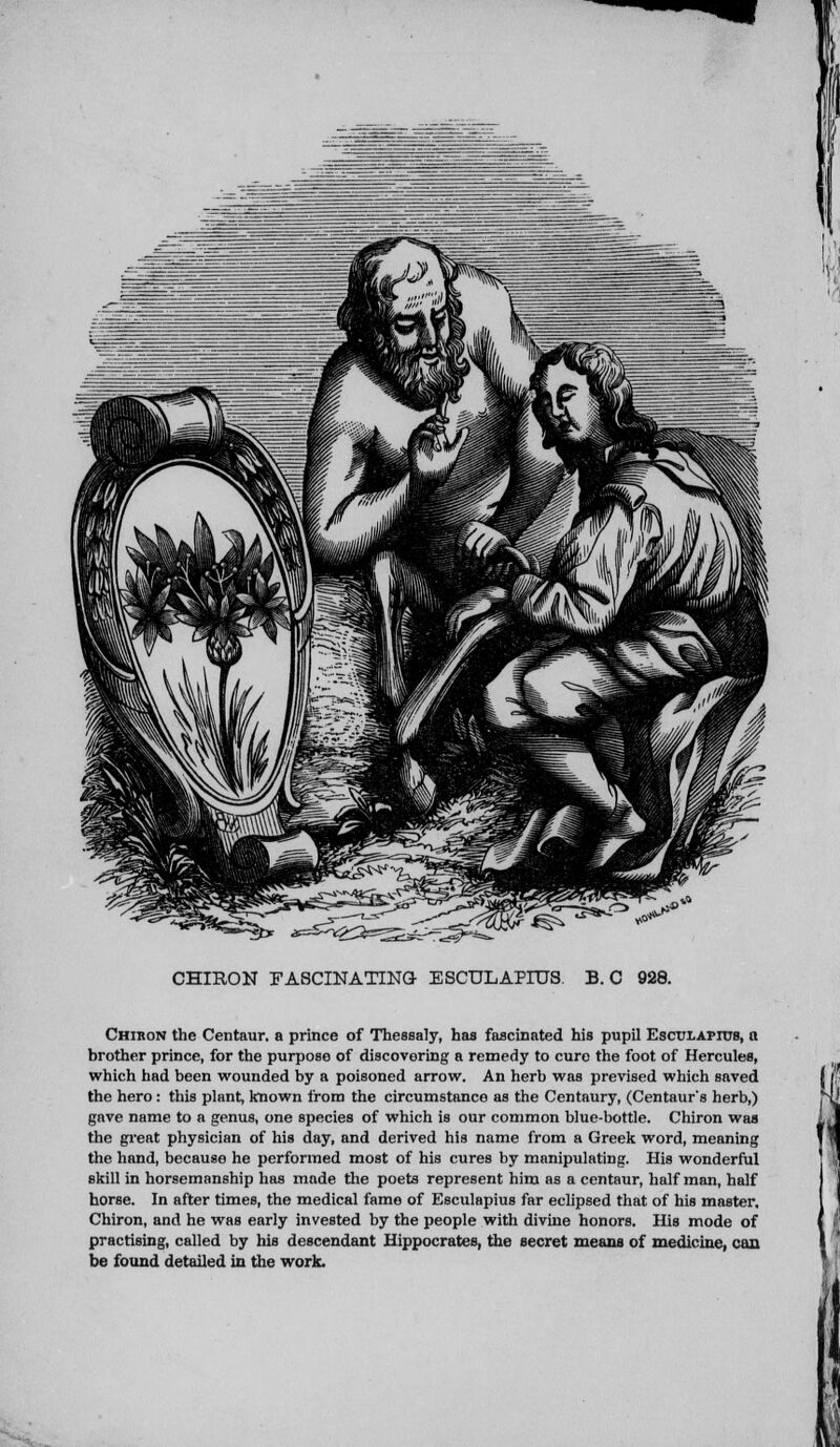 CHIRON FASCINATING- ESCULAPIUS. B. C 928. Chiron the Centaur, a prince of Thessaly, has fascinated his pupil Esctjlapit/s, a brother prince, for the purpose of discovering a remedy to euro the foot of Hercules, which had been wounded by a poisoned arrow. An herb was prevised which saved the hero : this plant, known from the circumstance as the Centaury, (Centaur's herb,) gave name to a genus, one species of which is our common blue-bottle. Chiron was the great physician of his day, and derived his name from a Greek word, meaning the hand, because he performed most of his cures by manipulating. His wonderful skill in horsemanship has made the poets represent him as a centaur, half man, half horse. In after times, the medical fame of Esculapius far eclipsed that of his master. Chiron, and he was early invested by the people with divine honors. His mode of practising, called by his descendant Hippocrates, the secret means of medicine, can be found detailed in the work. s