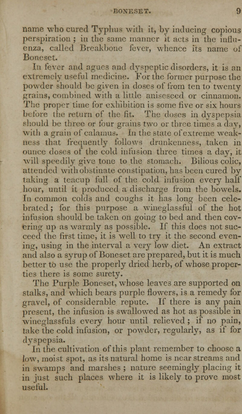 name who cured Typhus with it, by inducing copious perspiration ; in the same manner it acts in the influ- enza, called Breakbone fever, whence its name of Boncset. In fever and agues and dyspeptic disorders, it is an extremely useful medicine. For the former purpose the powder should be given in doses of from ten to twenty grains, combined with a little aniseseed or cinnamon. The proper time for exhibition is some five or six hours before the return of the fit. The doses in dyspepsia should be three or four grains two or three times a day, with a grain of calamus. In the state of extreme weak- ness that frequently follows drunkenness, taken in ounce doses of the cold infusion three times a day, it will speedily give tone to the stomaeh. Bilious colic, attended with obstinate constipation, has been cured by taking a teacup fall of the cold infusion every half hour, until it produced a discharge from the bowels. In common colds and coughs it has long been cele- brated ; for this purpose a wincglassful of the hot infusion should be taken on going to bed and then cov- ering up as warmly as possible. If this does not suc- ceed the first time, it is well to try it the second even- ing, using in the interval a very low diet. An extract and also a syrup of Boneset are prepared, but it is much better to use the properly dried herb, of whose proper- ties there is some surety. The Purple Boneset, whose leaves are supported on stalks, and which bears purple flowers, is a remedy for gravel, of considerable repute. If there is any pain present, the infusion is swallowed as hot as possible in wincglassfuls every hour until relieved ; if no pain, take the cold infusion, or powder, regularly, as if for dyspepsia. In the cultivation of this plant remember to choose a low, moist spot, as its natural home is near streams and in swamps and marshes ; nature seemingly placing it in just such places where it is likely to prove most useful.